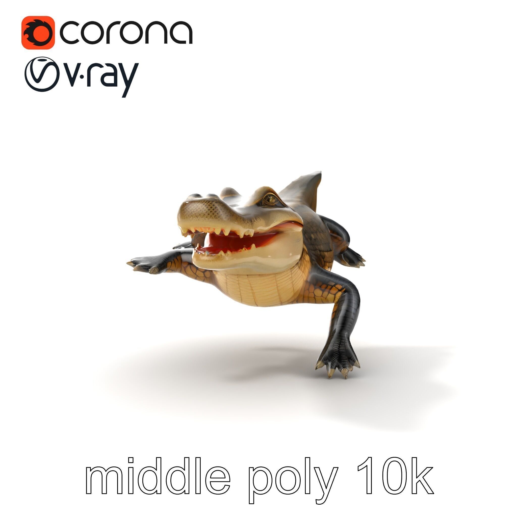 Alligator Broad Snout Realistic Sculpture model pack Low-poly 3D model_12