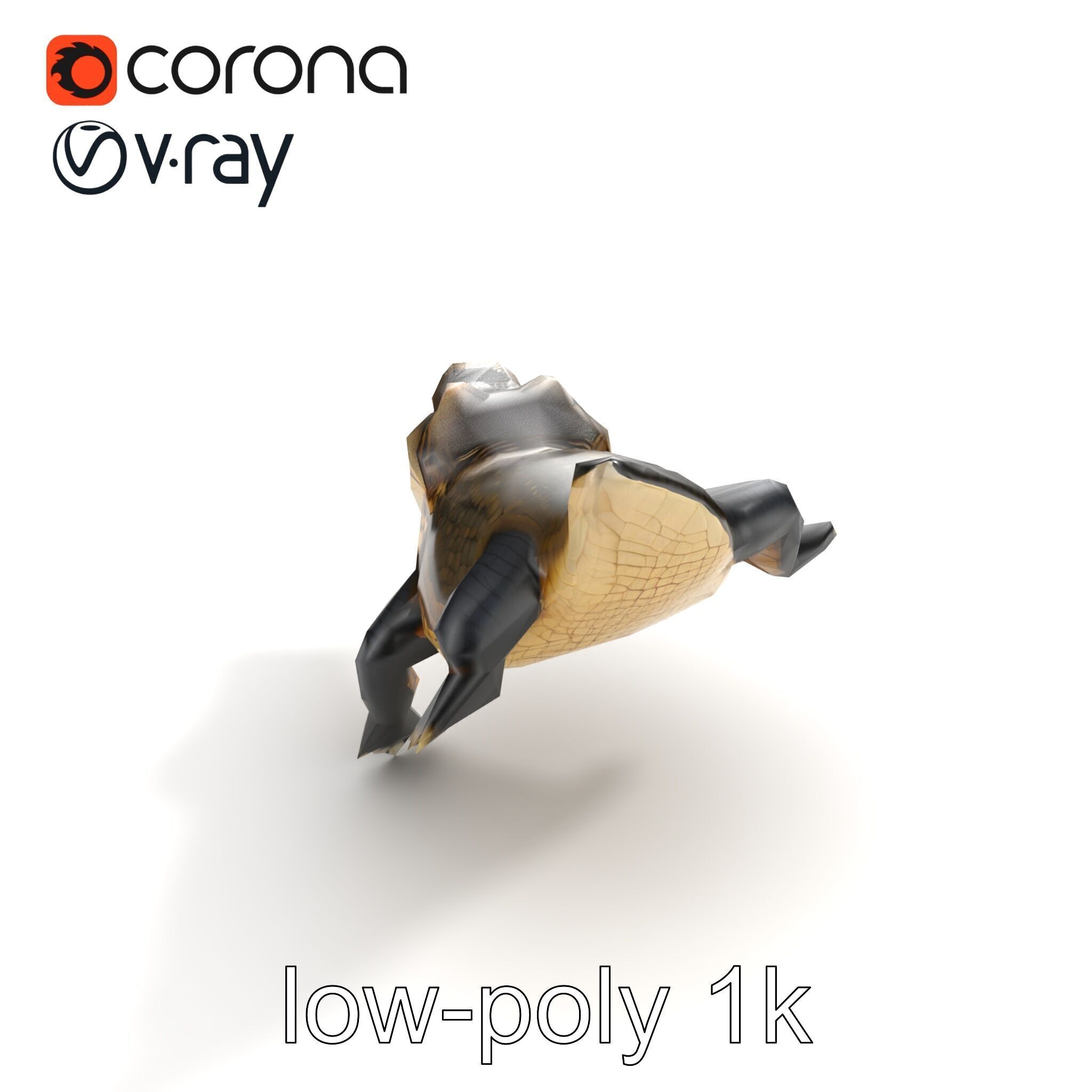 Alligator Broad Snout Realistic Sculpture model pack Low-poly 3D model_9