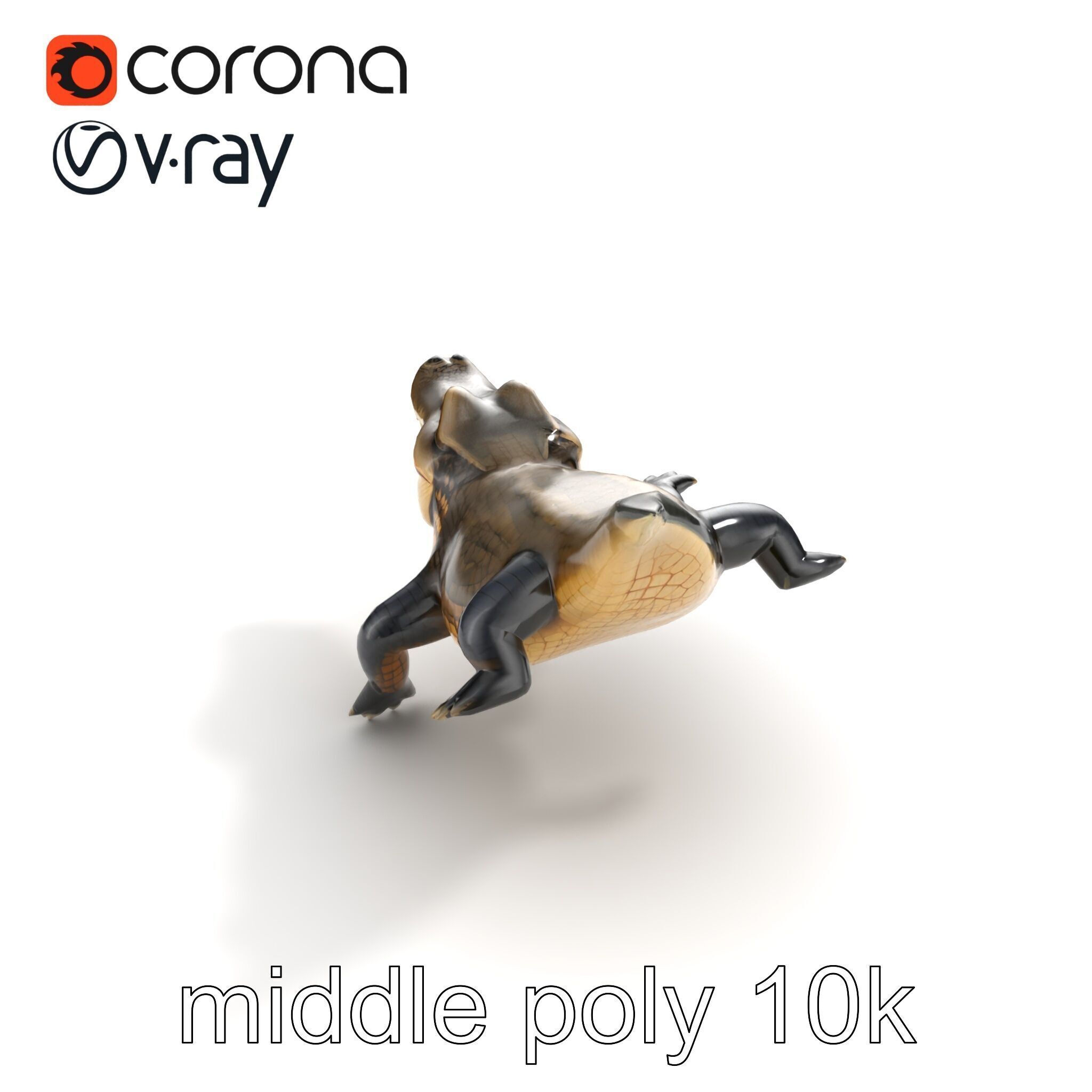 Alligator Broad Snout Realistic Sculpture model pack Low-poly 3D model_8