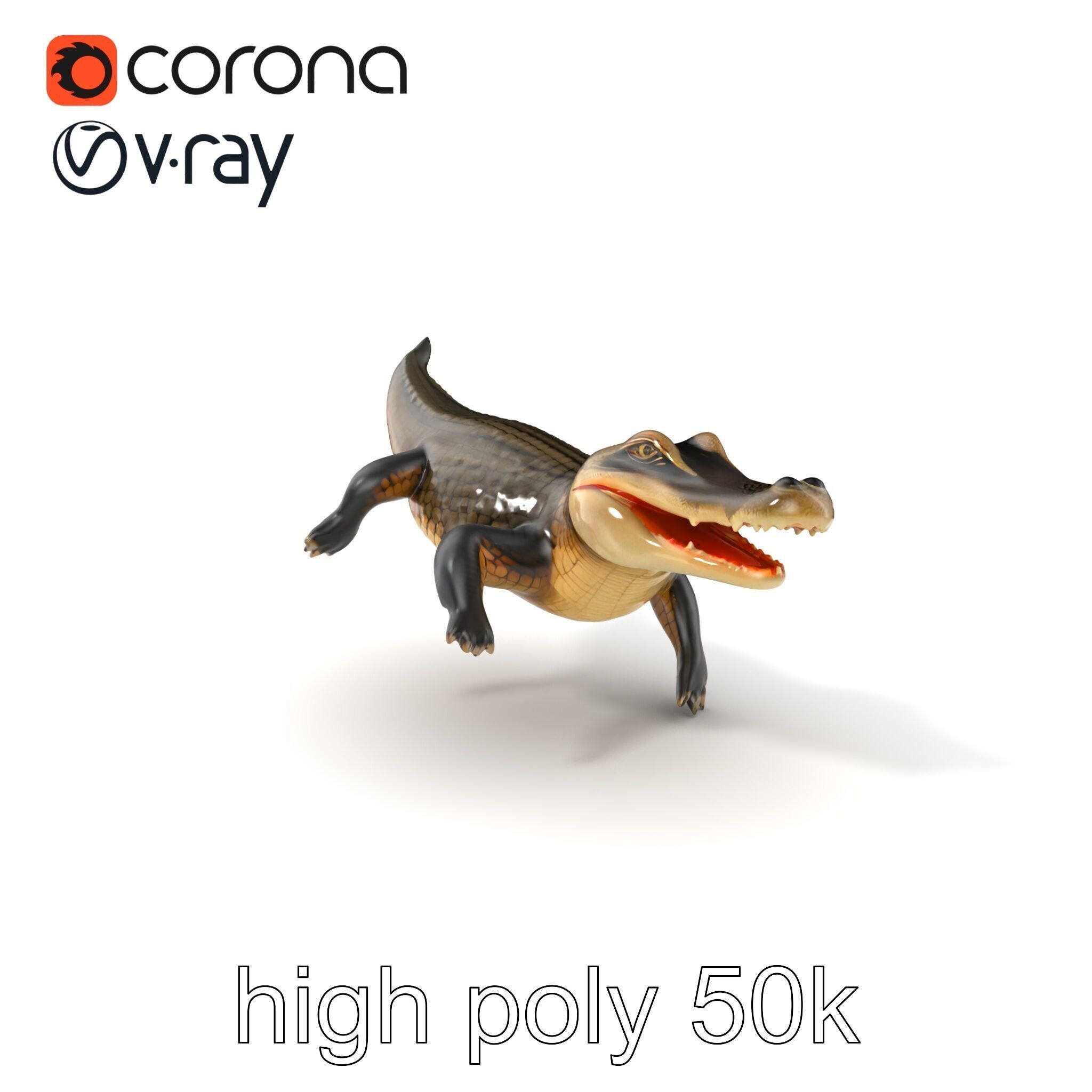 Alligator Broad Snout Realistic Sculpture model pack Low-poly 3D model_2