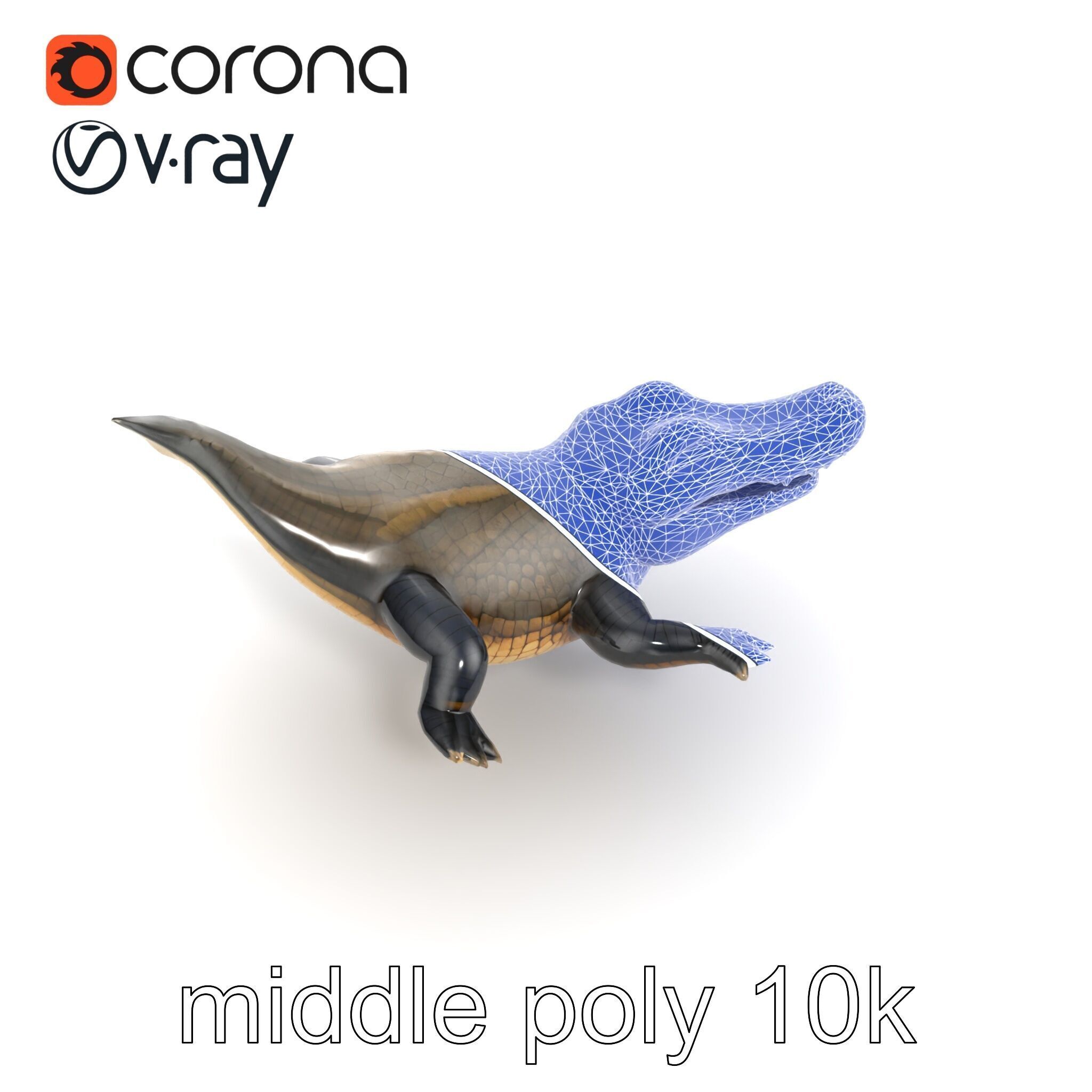 Alligator Broad Snout Realistic Sculpture model pack Low-poly 3D model_20