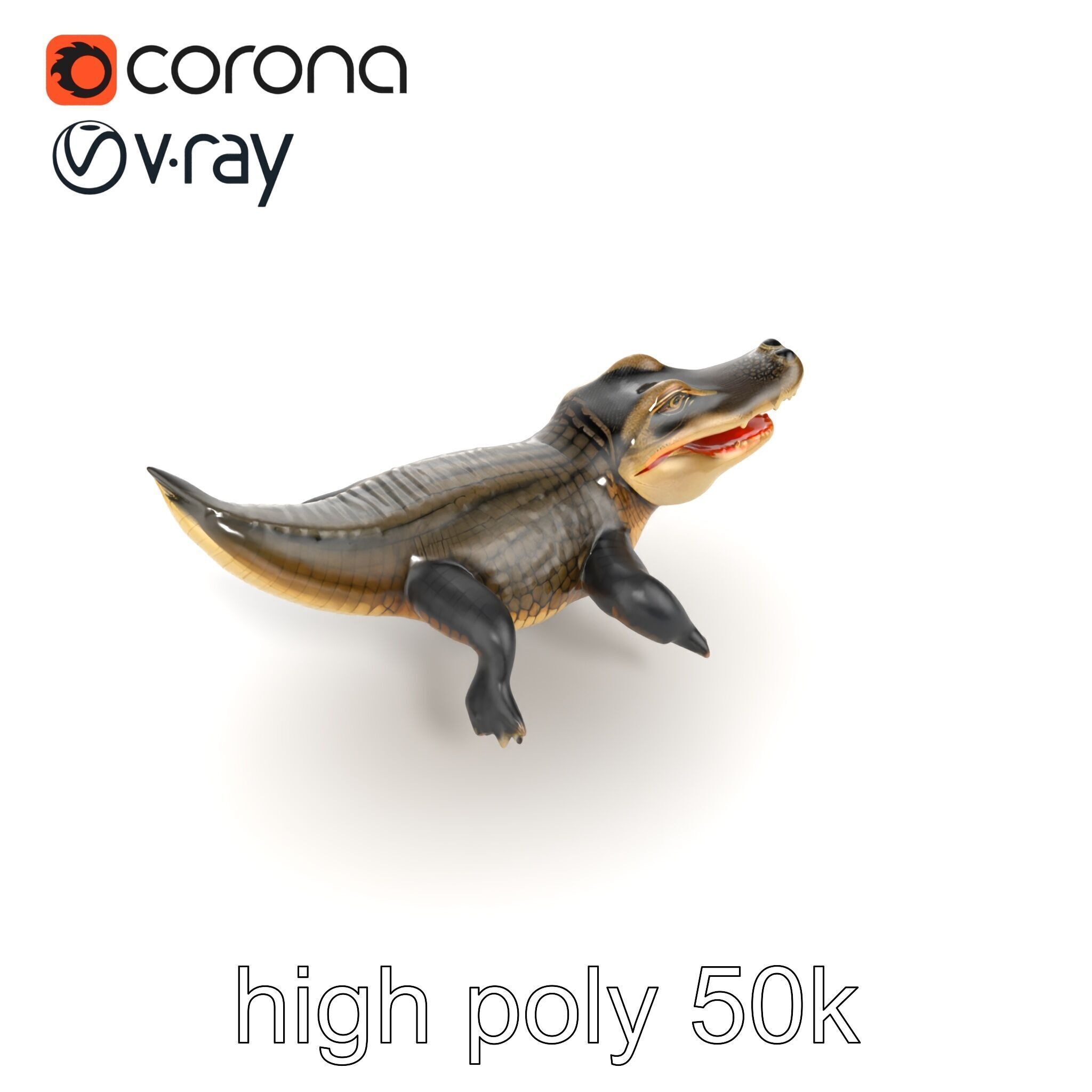 Alligator Broad Snout Realistic Sculpture model pack Low-poly 3D model_28