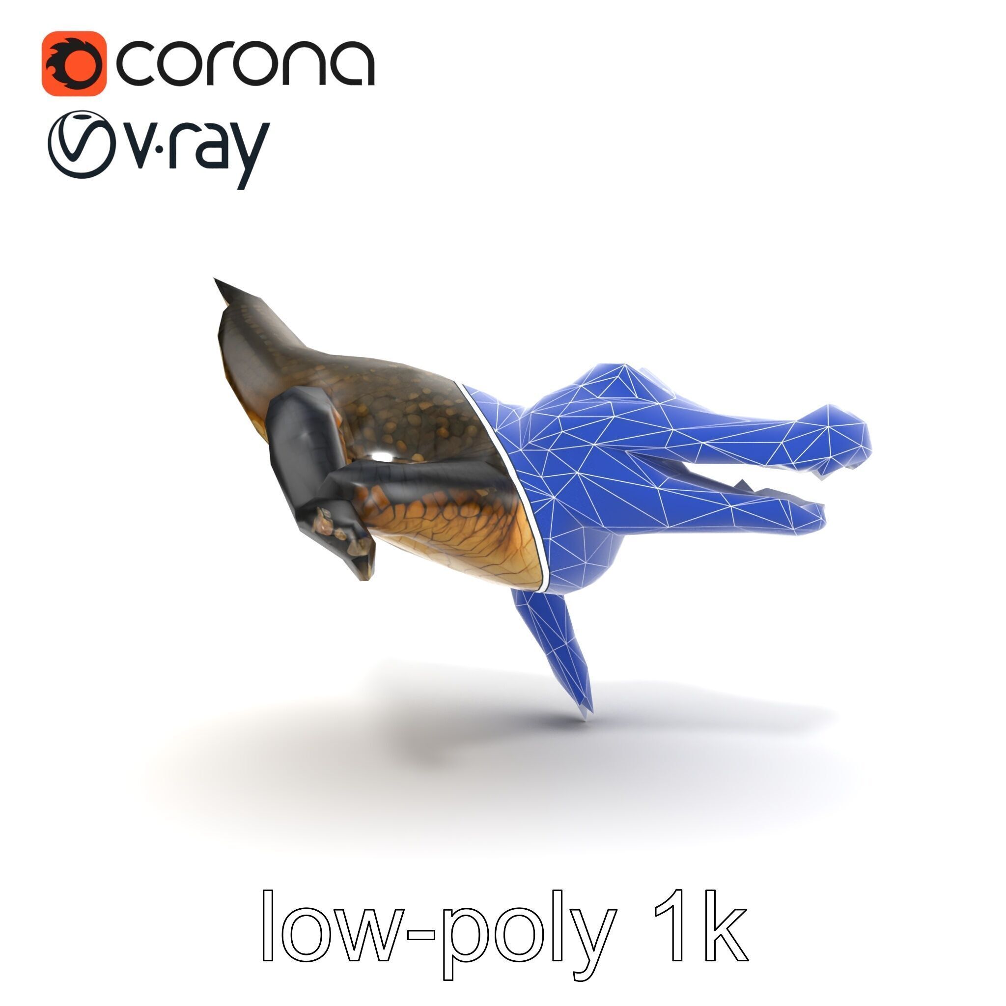 Alligator Broad Snout Realistic Sculpture model pack Low-poly 3D model_30