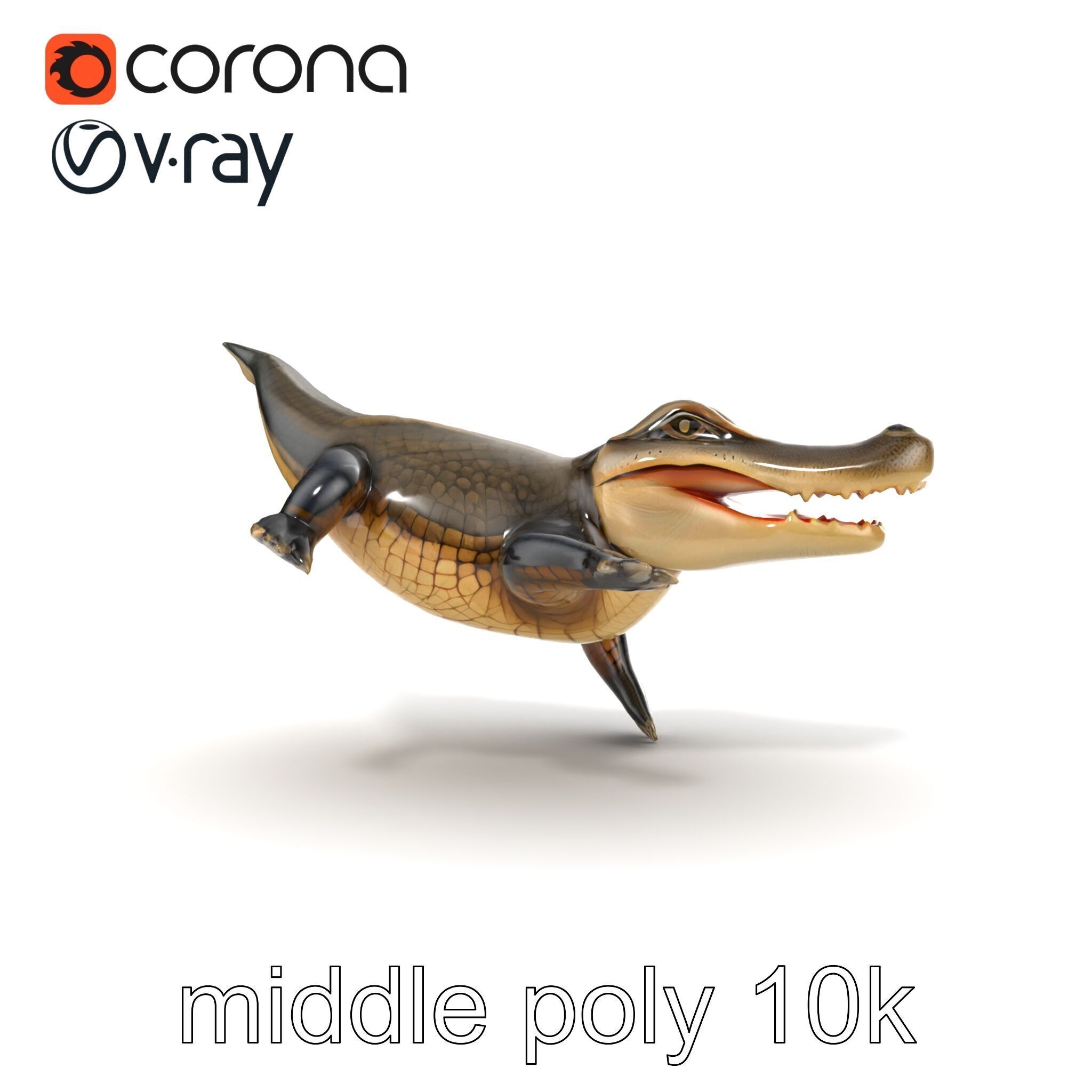 Alligator Broad Snout Realistic Sculpture model pack Low-poly 3D model_26