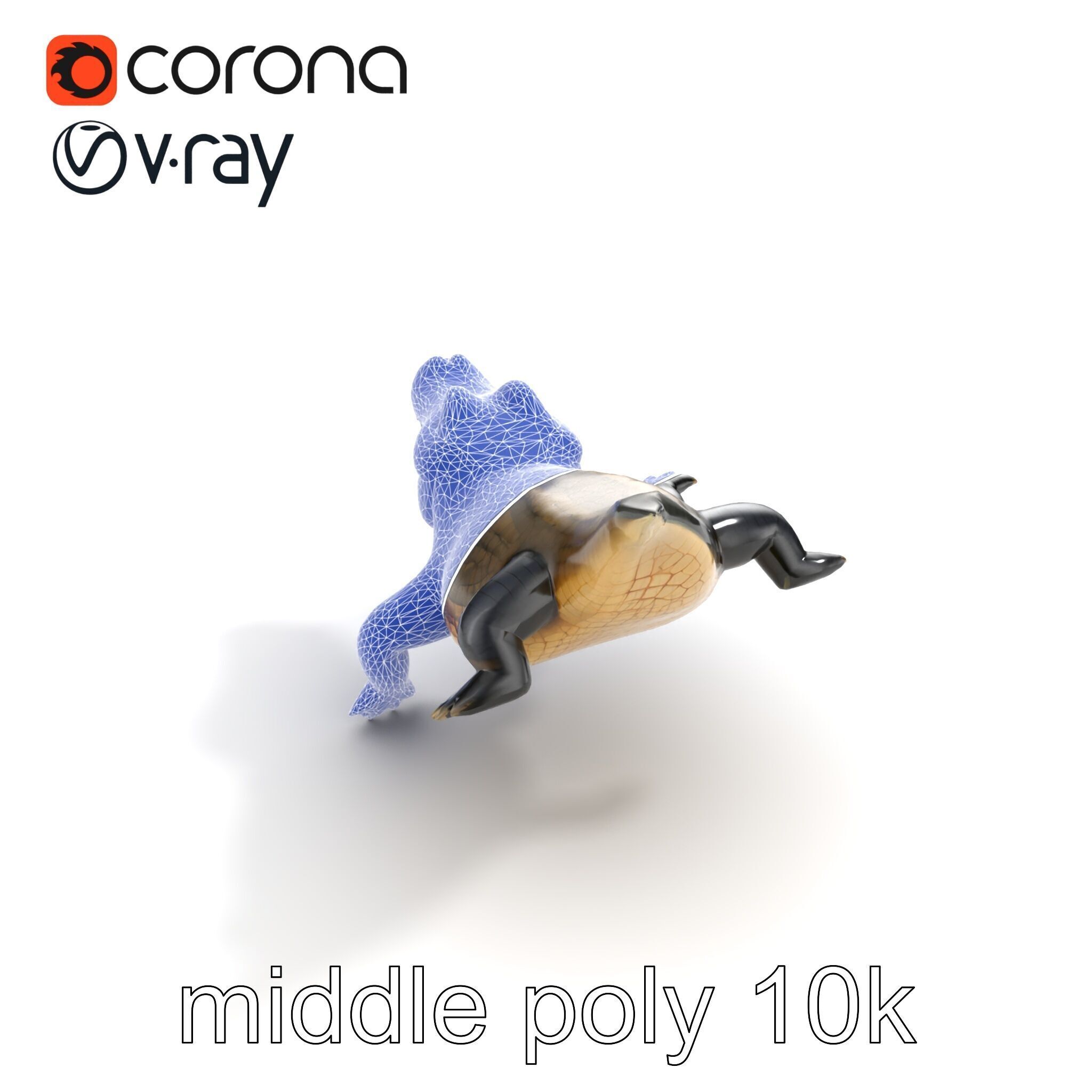 Alligator Broad Snout Realistic Sculpture model pack Low-poly 3D model_32