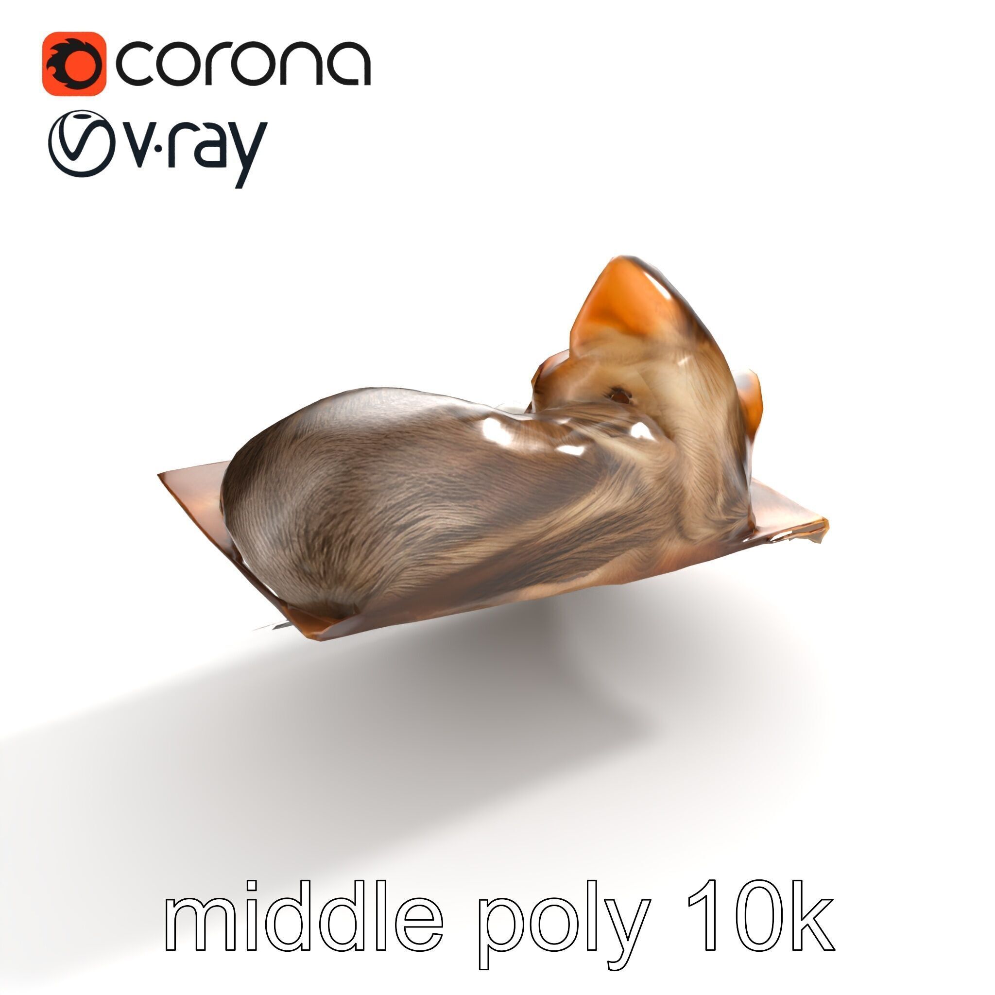 Cozy Cat in Box with Velvety Fur model pack Low-poly 3D model_8