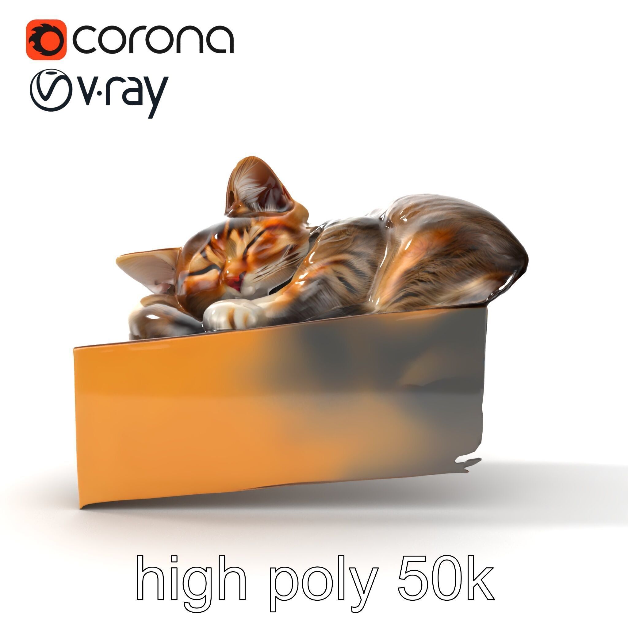 Cozy Cat in Box with Velvety Fur model pack Low-poly 3D model_27