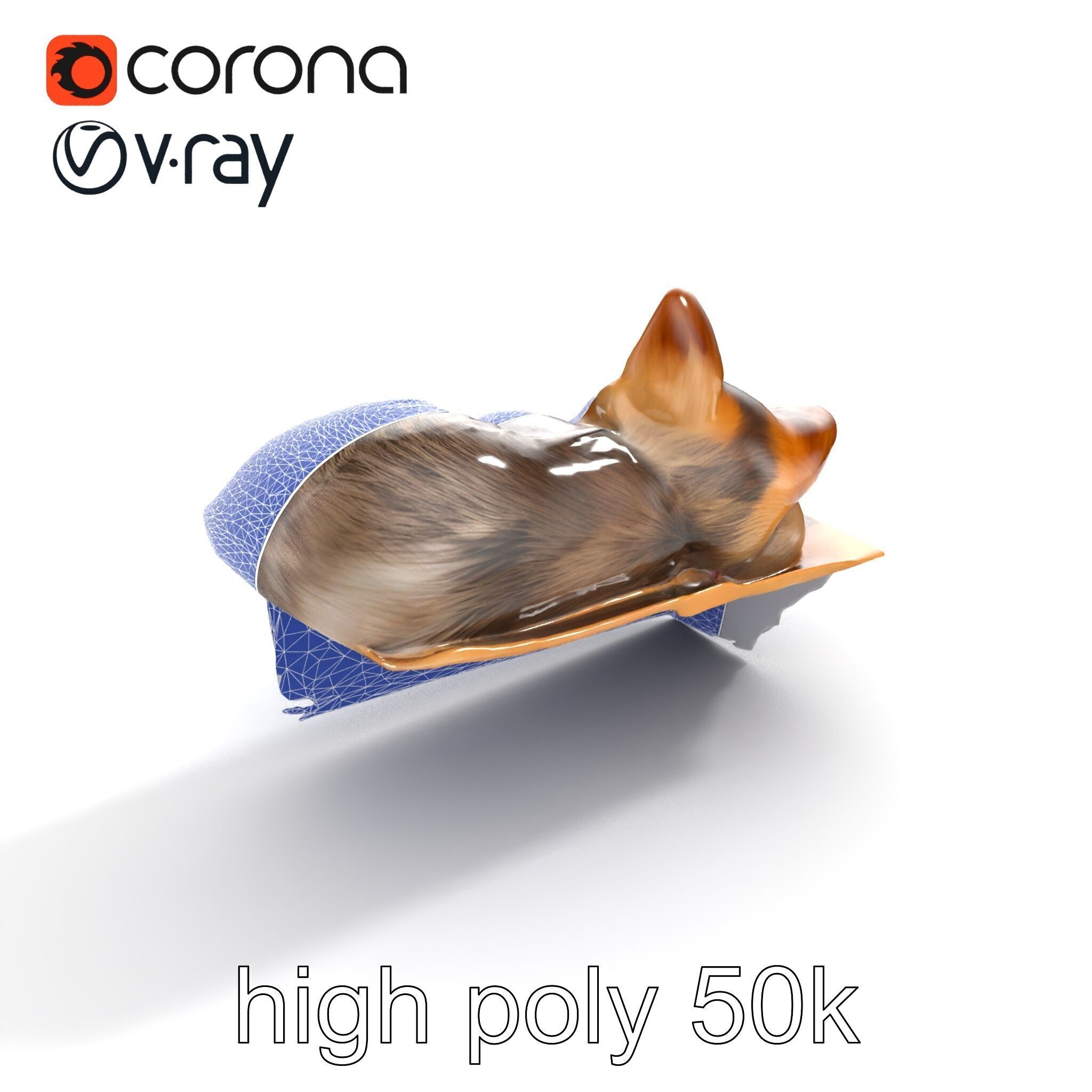 Cozy Cat in Box with Velvety Fur model pack Low-poly 3D model_15