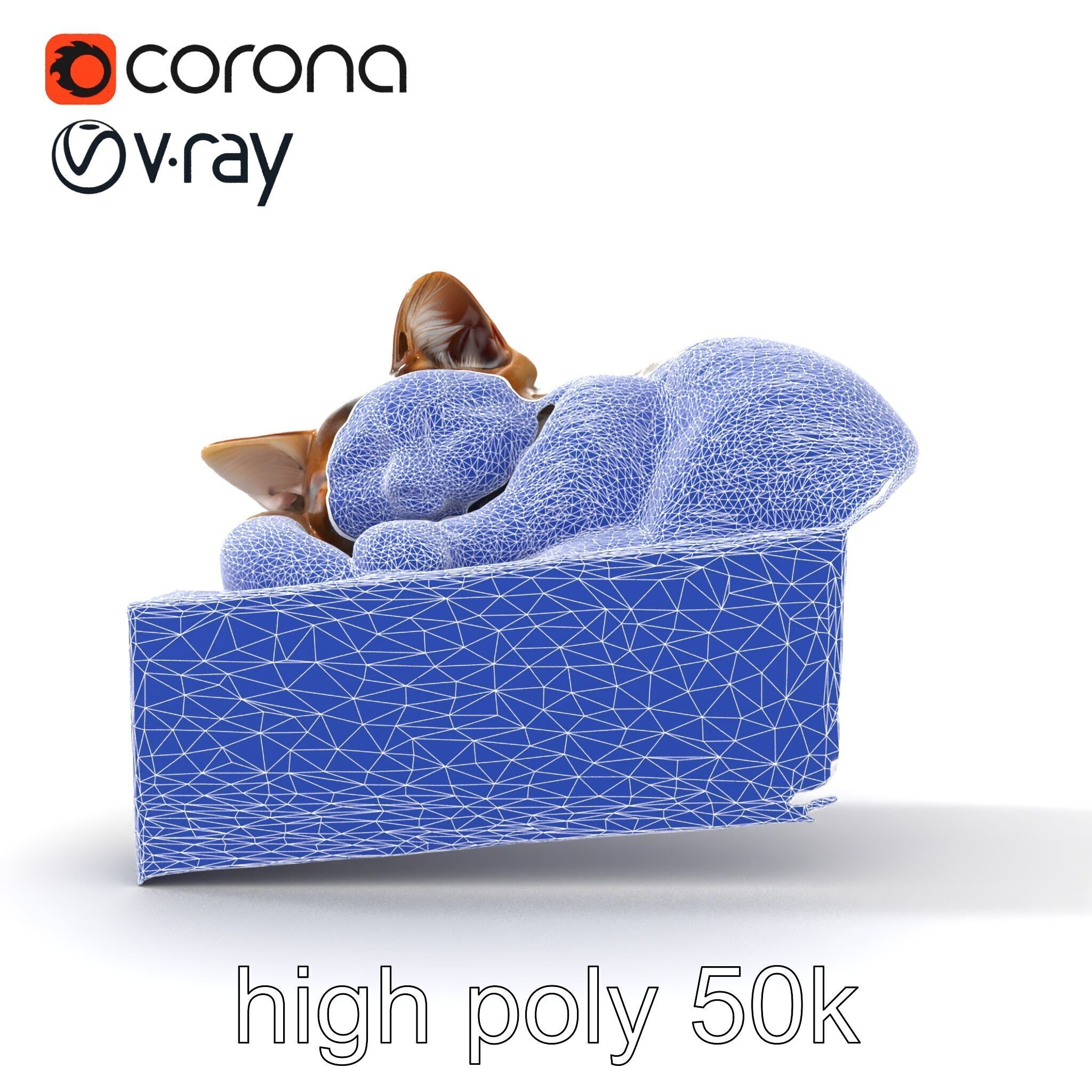 Cozy Cat in Box with Velvety Fur model pack Low-poly 3D model_31