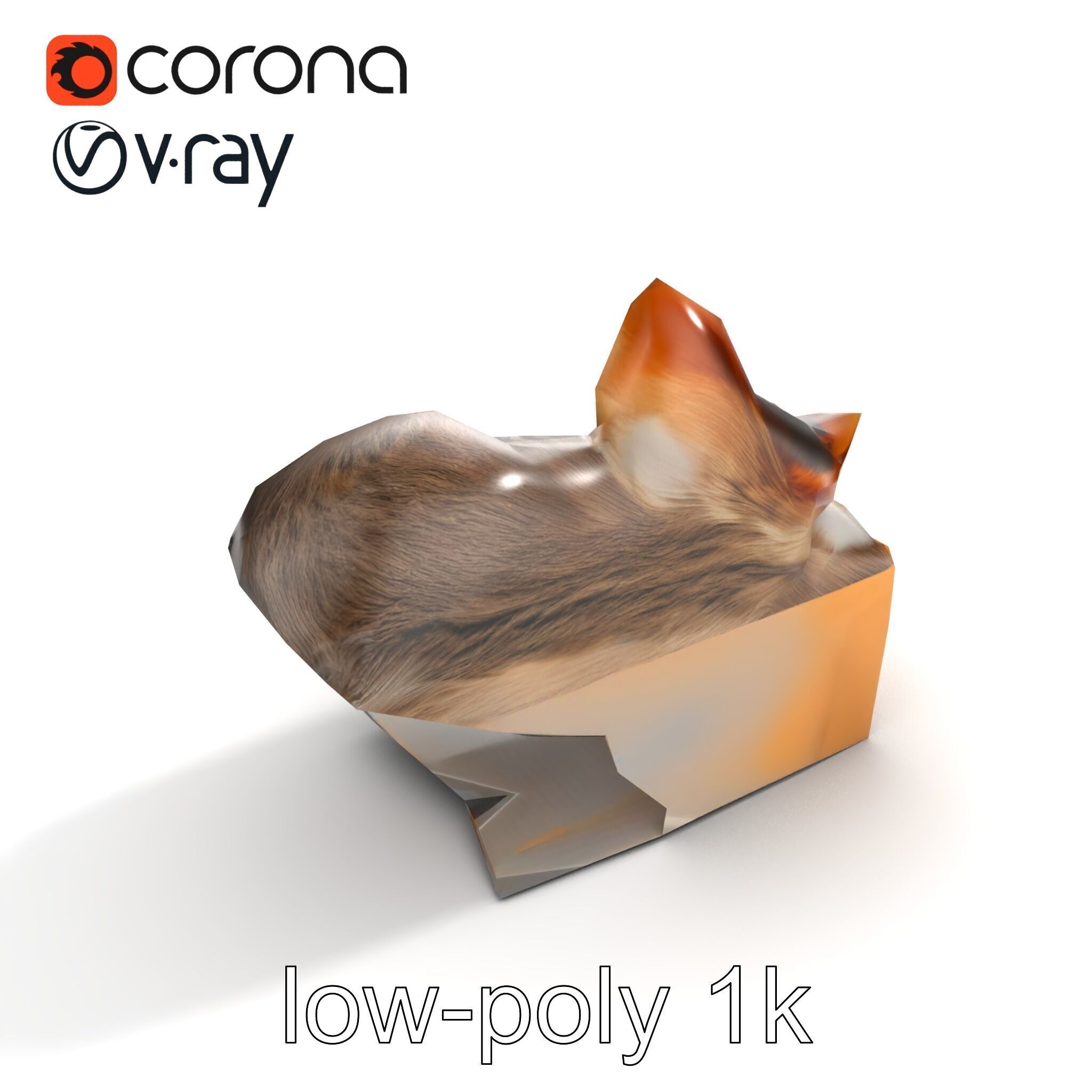Cozy Cat in Box with Velvety Fur model pack Low-poly 3D model_9