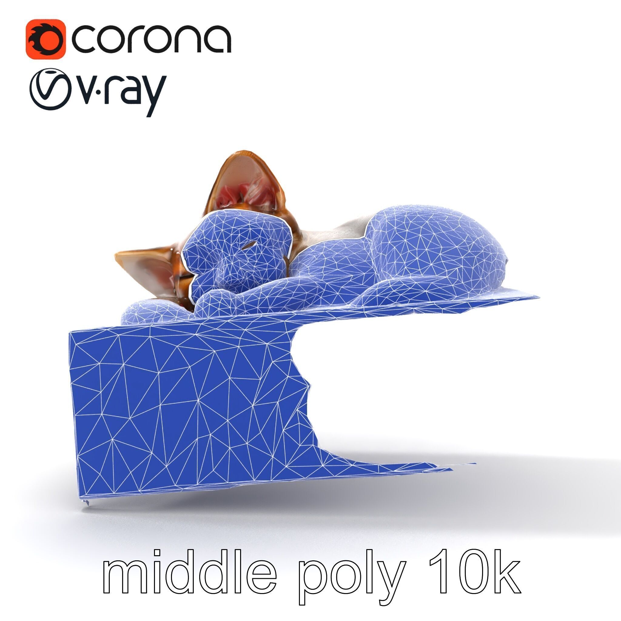 Cozy Cat in Box with Velvety Fur model pack Low-poly 3D model_30