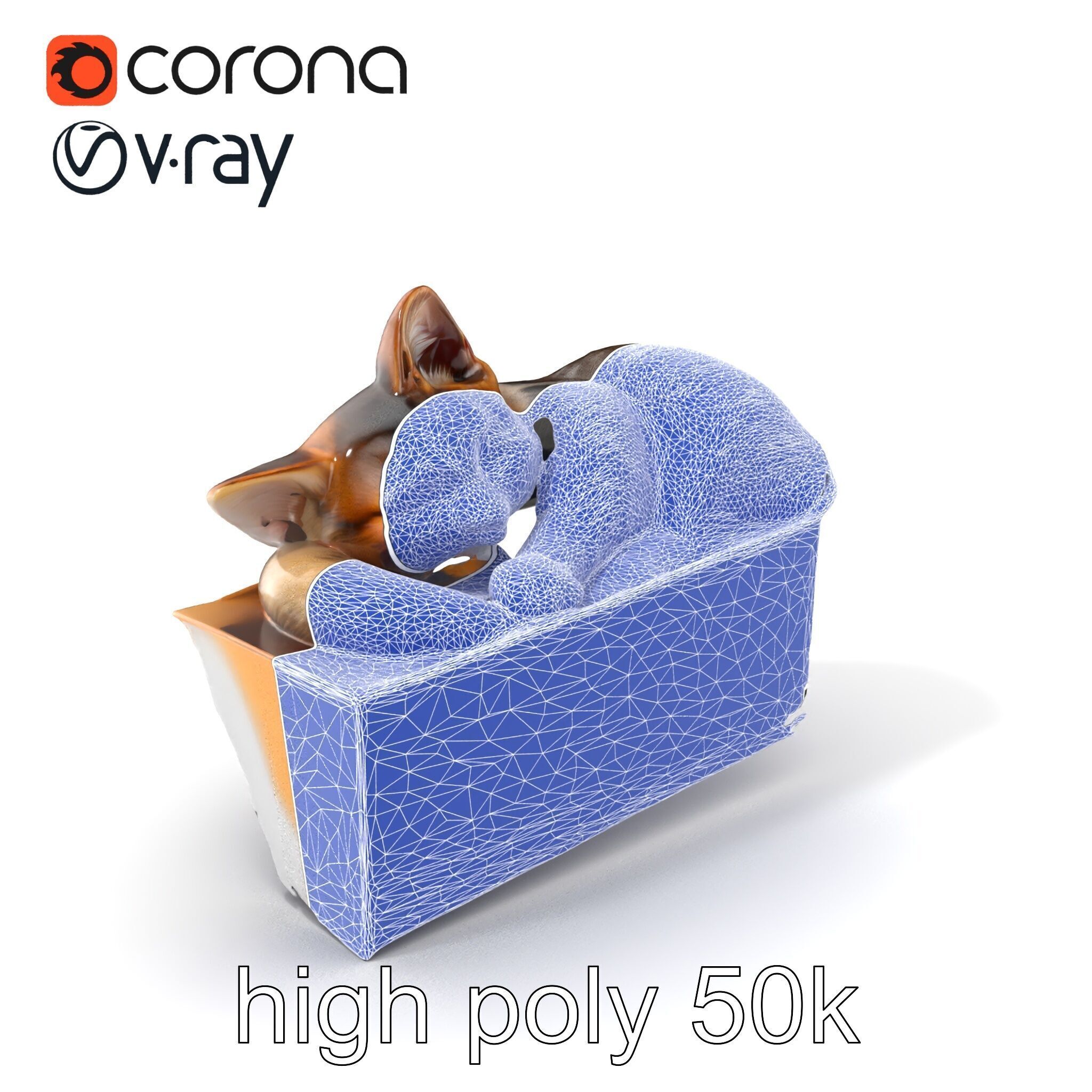 Cozy Cat in Box with Velvety Fur model pack Low-poly 3D model_10