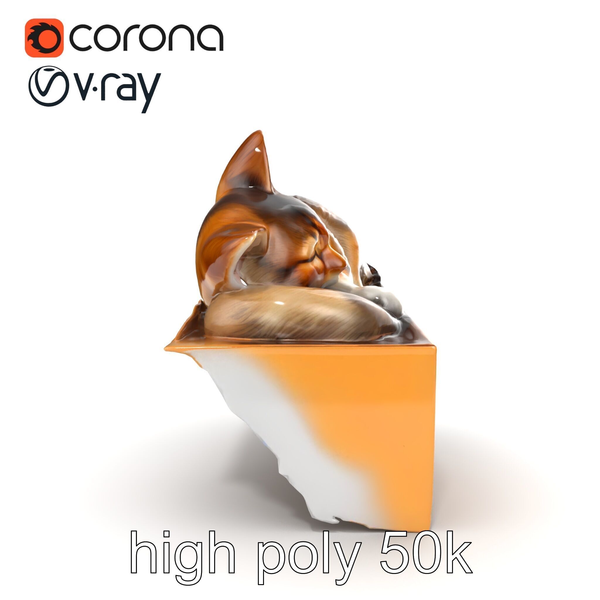 Cozy Cat in Box with Velvety Fur model pack Low-poly 3D model_21