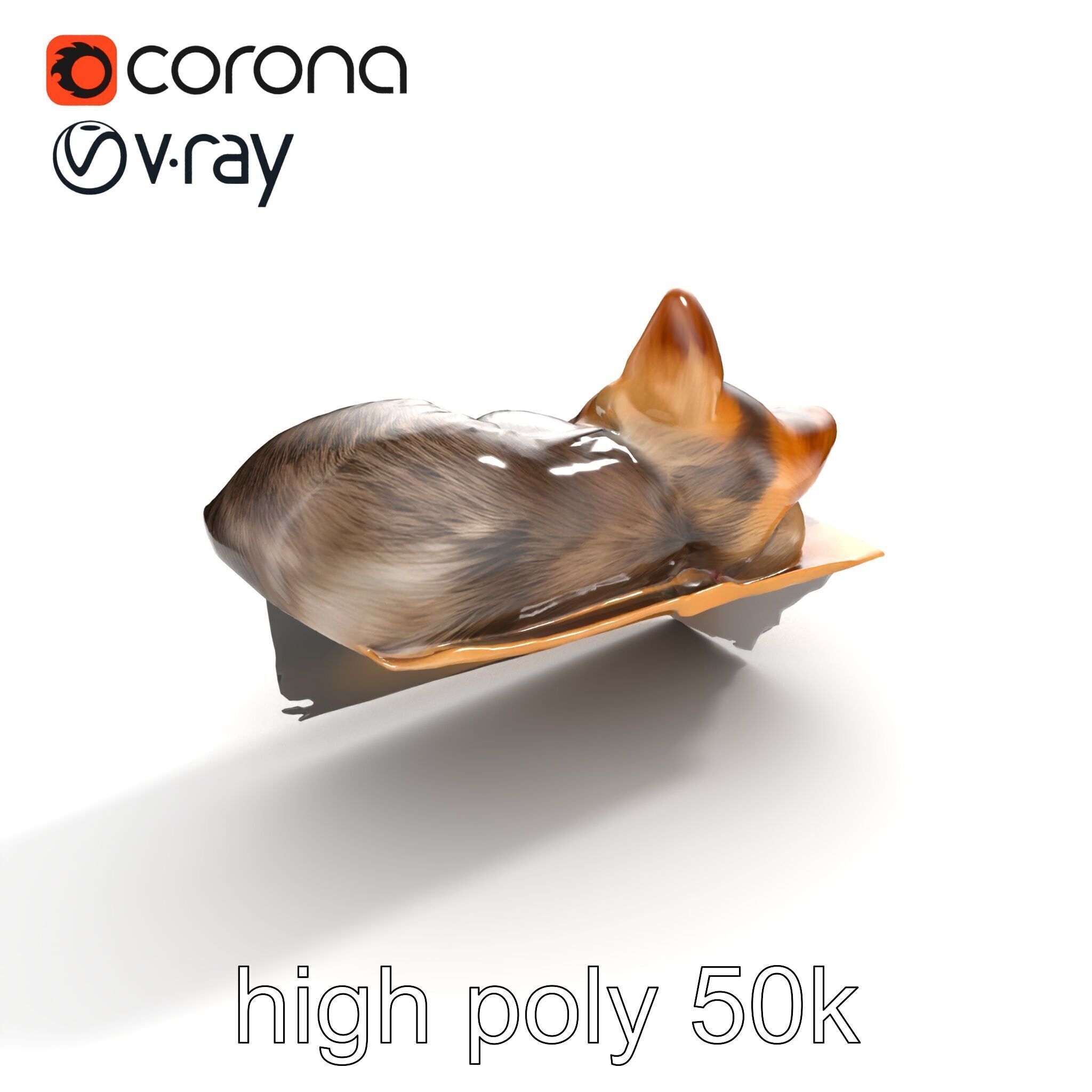 Cozy Cat in Box with Velvety Fur model pack Low-poly 3D model_23