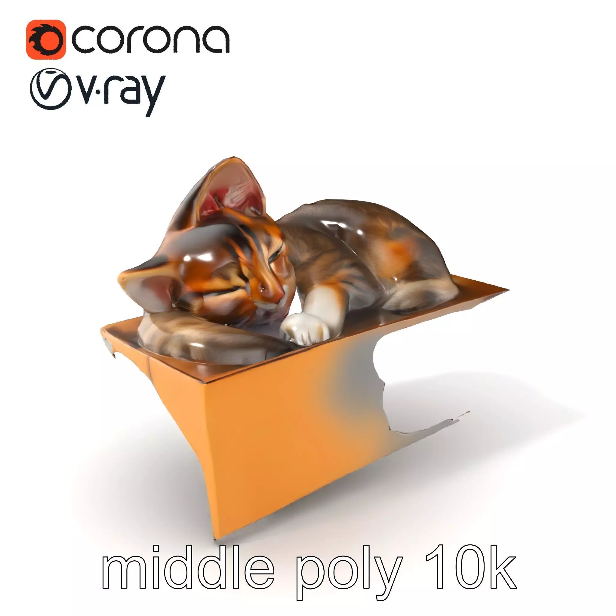 Cozy Cat in Box with Velvety Fur model pack Low-poly 3D model_0