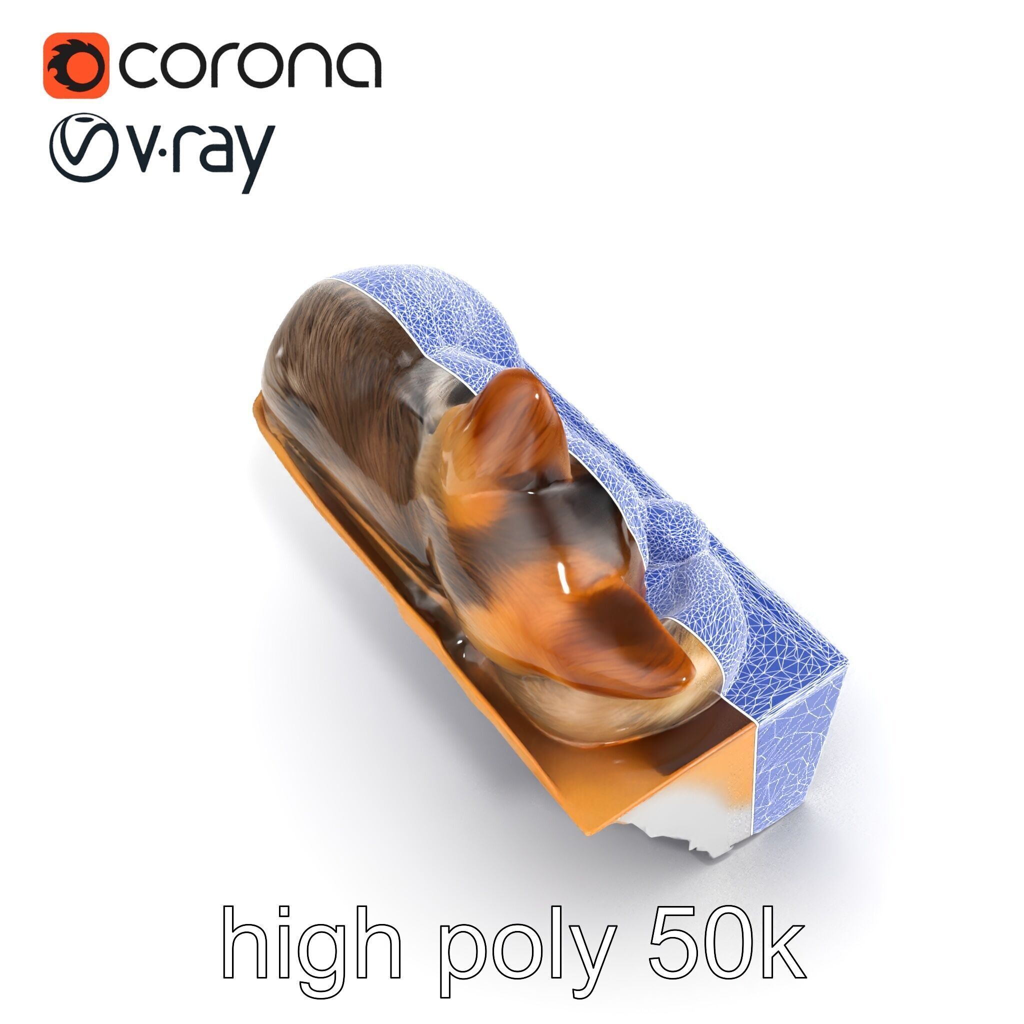 Cozy Cat in Box with Velvety Fur model pack Low-poly 3D model_16