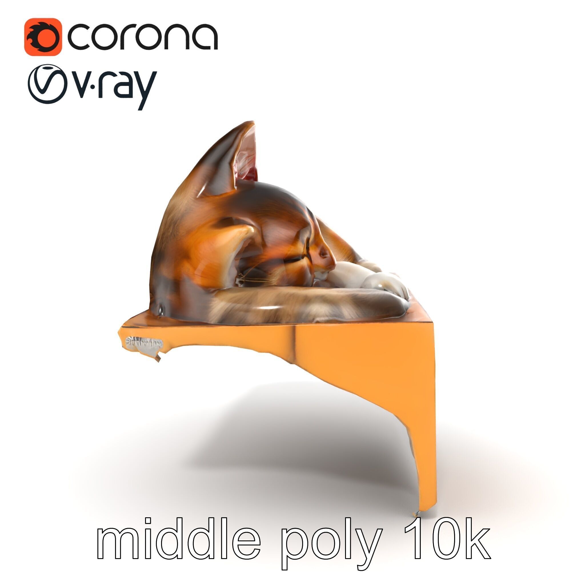 Cozy Cat in Box with Velvety Fur model pack Low-poly 3D model_26