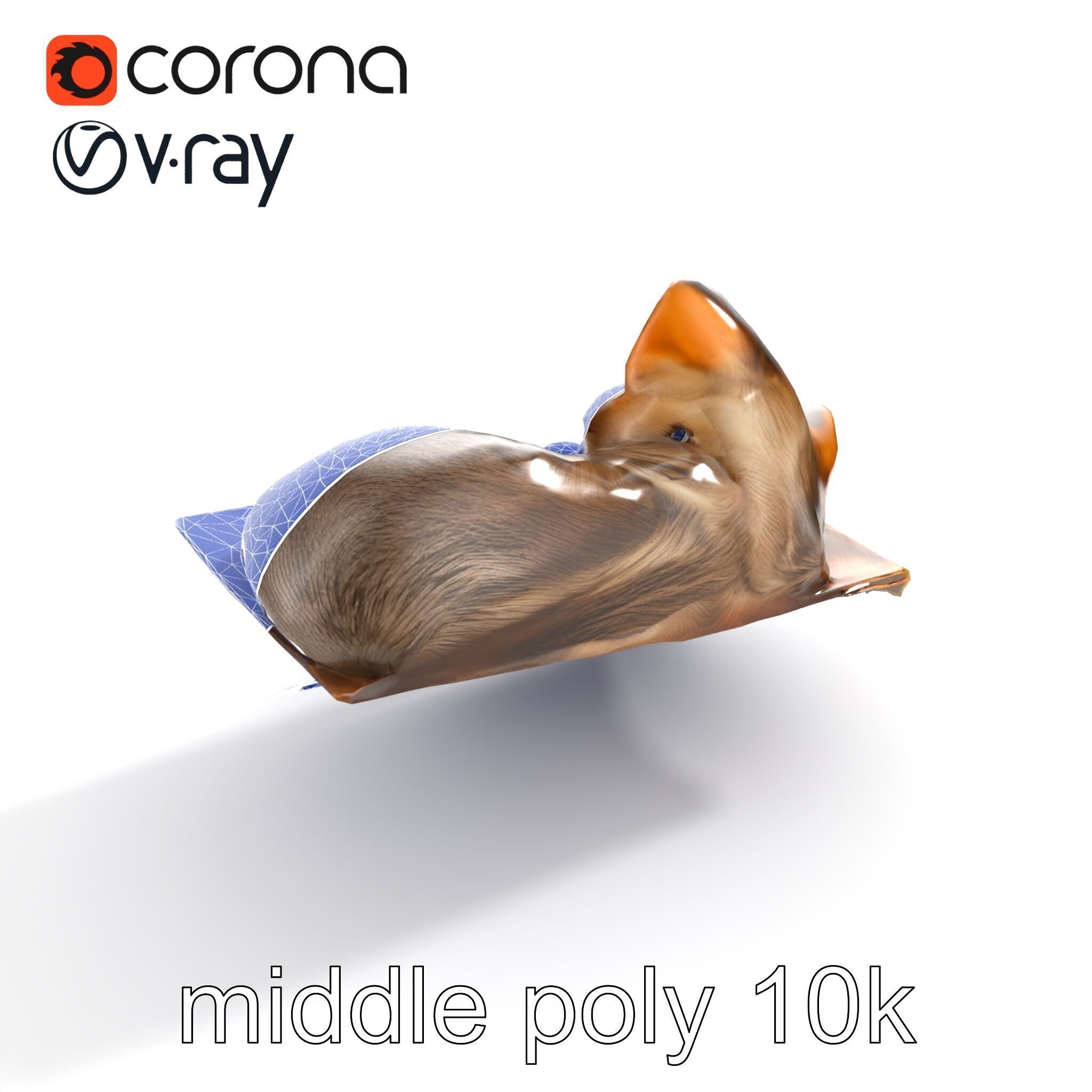 Cozy Cat in Box with Velvety Fur model pack Low-poly 3D model_12