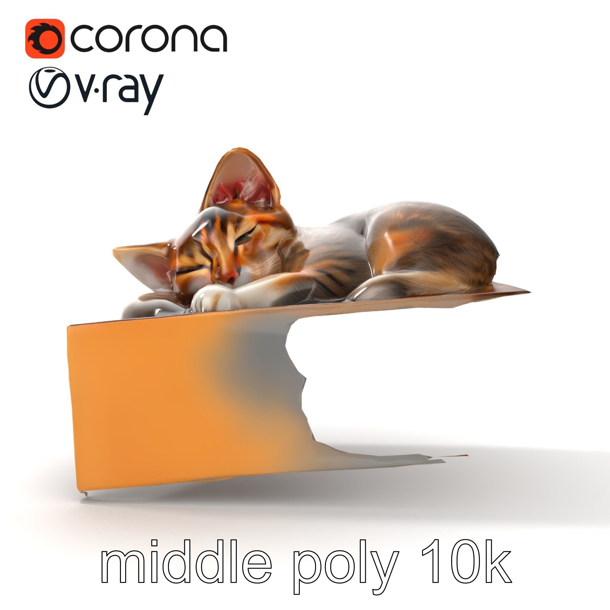Cozy Cat in Box with Velvety Fur model pack Low-poly 3D model_13