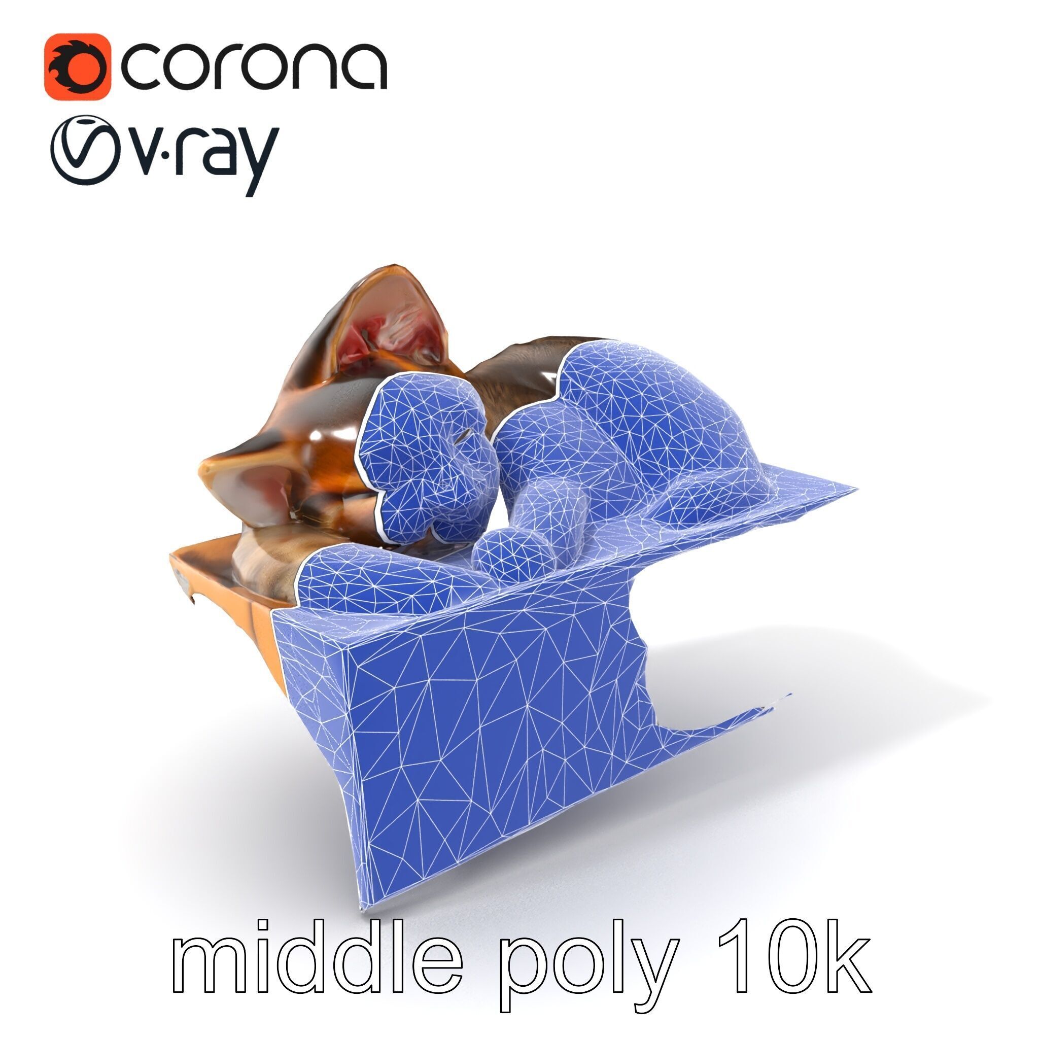 Cozy Cat in Box with Velvety Fur model pack Low-poly 3D model_6