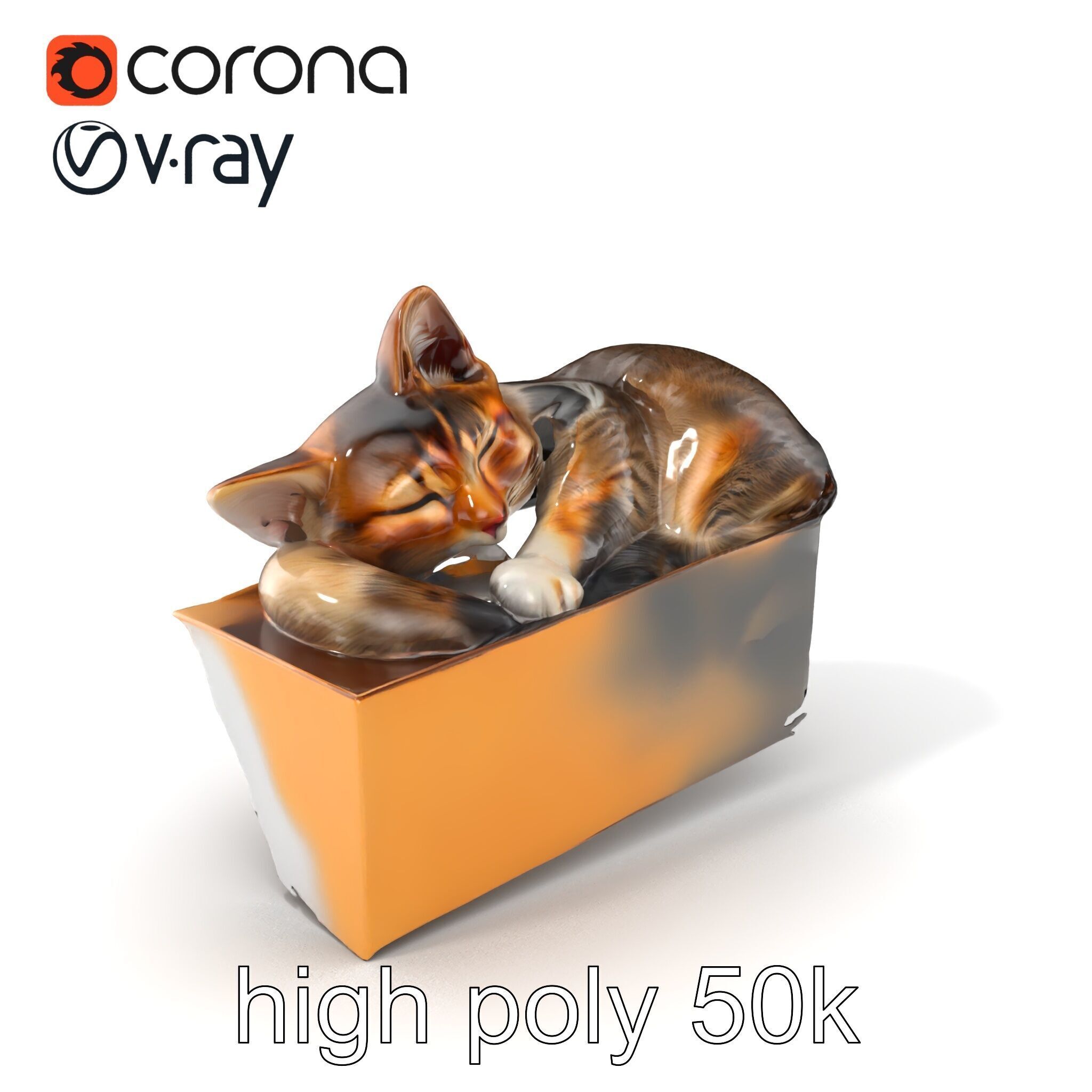 Cozy Cat in Box with Velvety Fur model pack Low-poly 3D model_2
