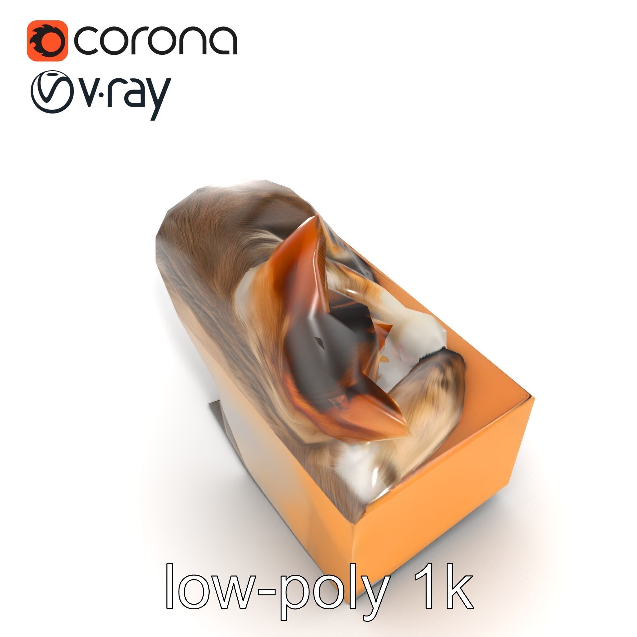 Cozy Cat in Box with Velvety Fur model pack Low-poly 3D model_11