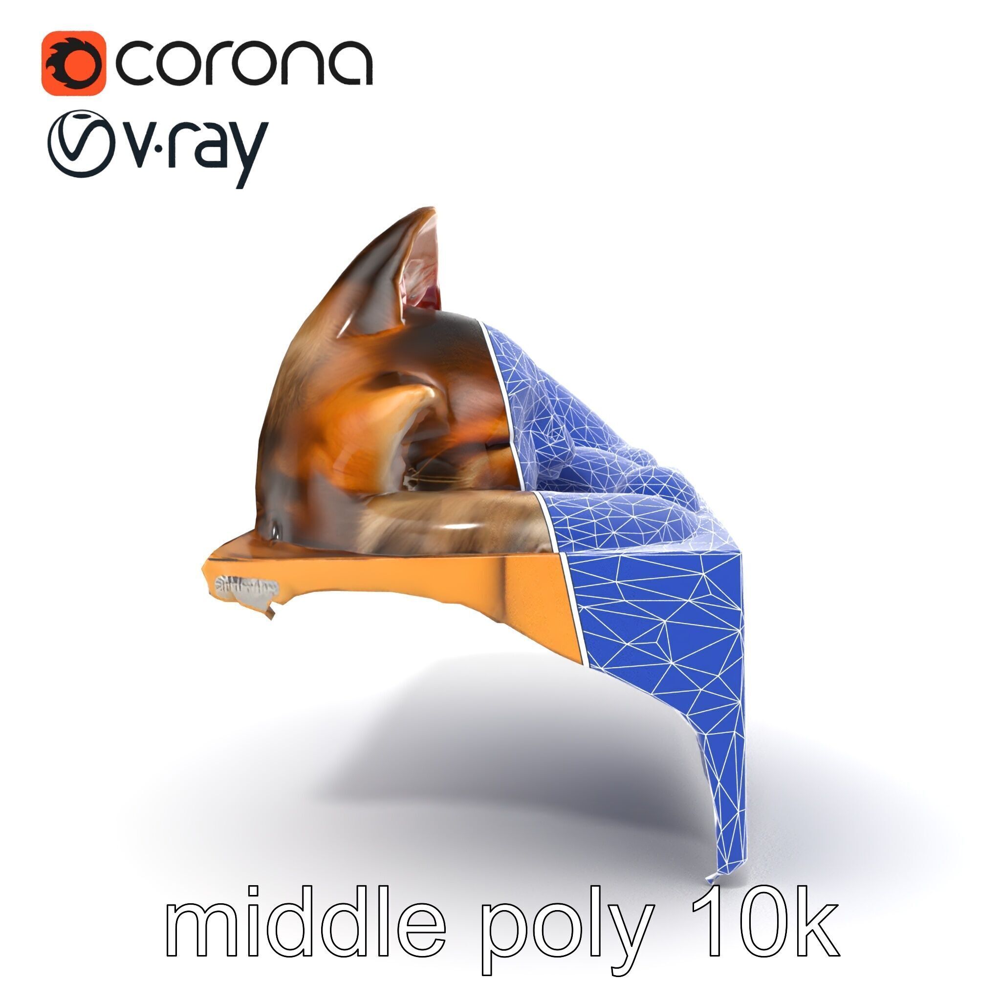 Cozy Cat in Box with Velvety Fur model pack Low-poly 3D model_24