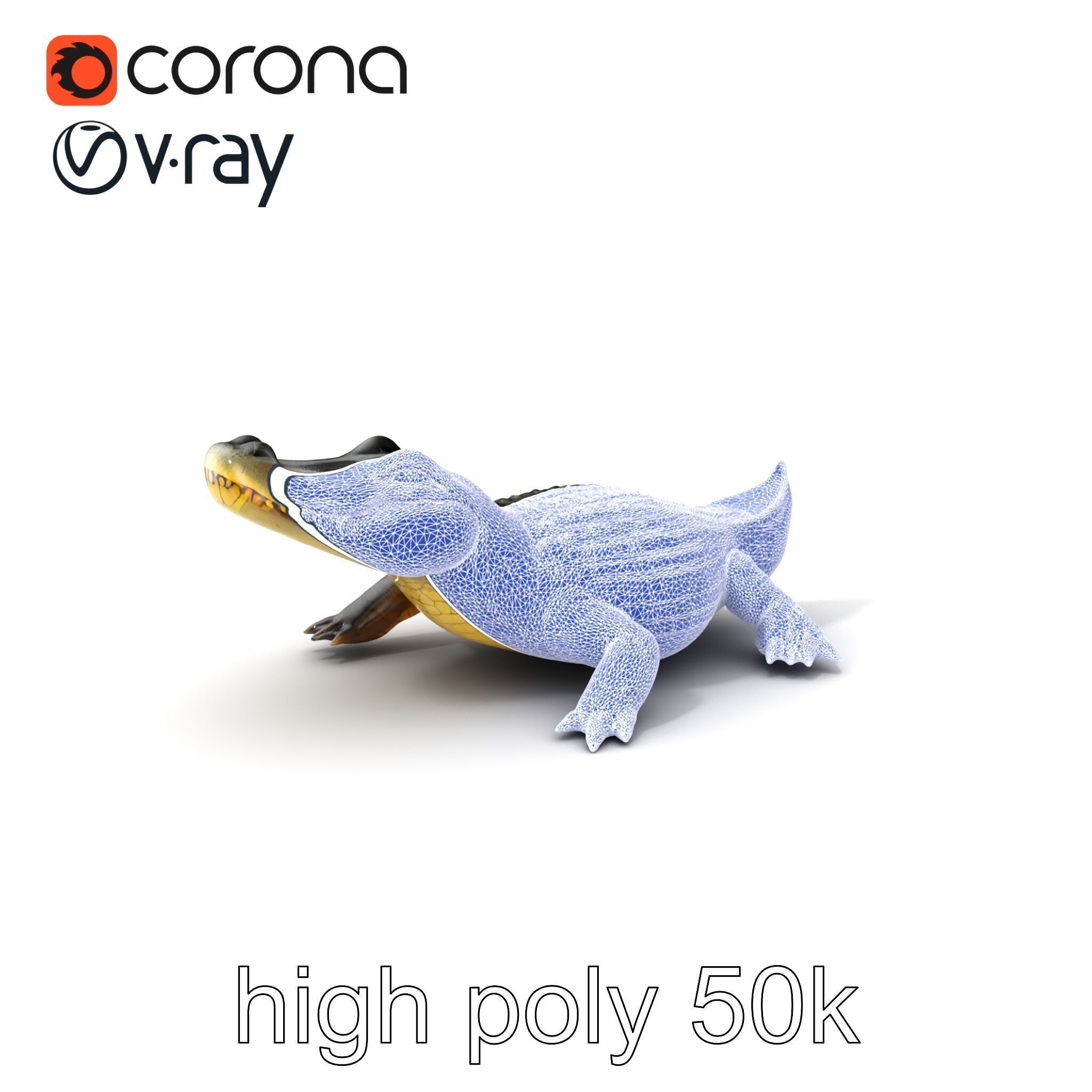 Crocodile Detailed Dewy Scales Model Pack Low-poly 3D model_10