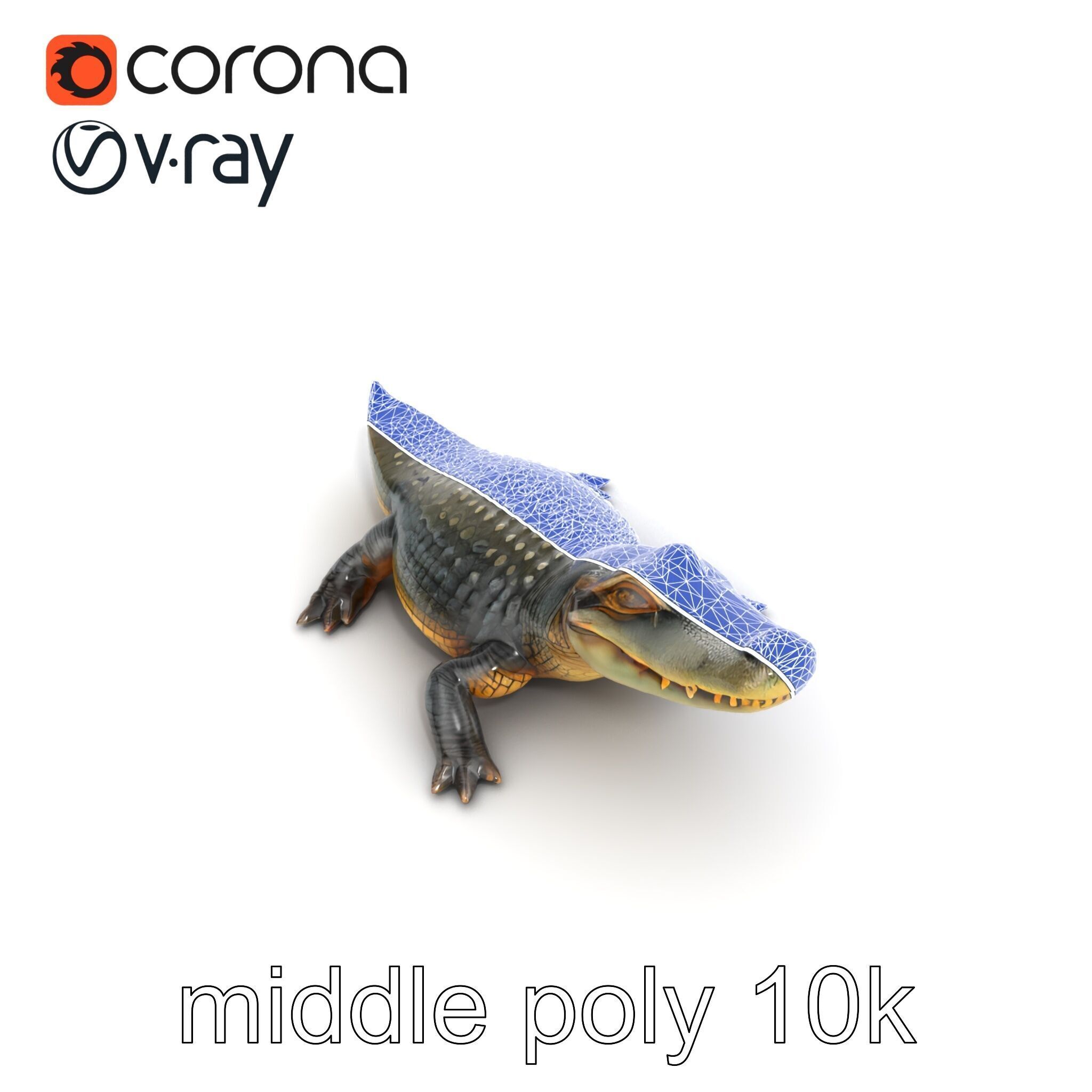 Crocodile Detailed Dewy Scales Model Pack Low-poly 3D model_17