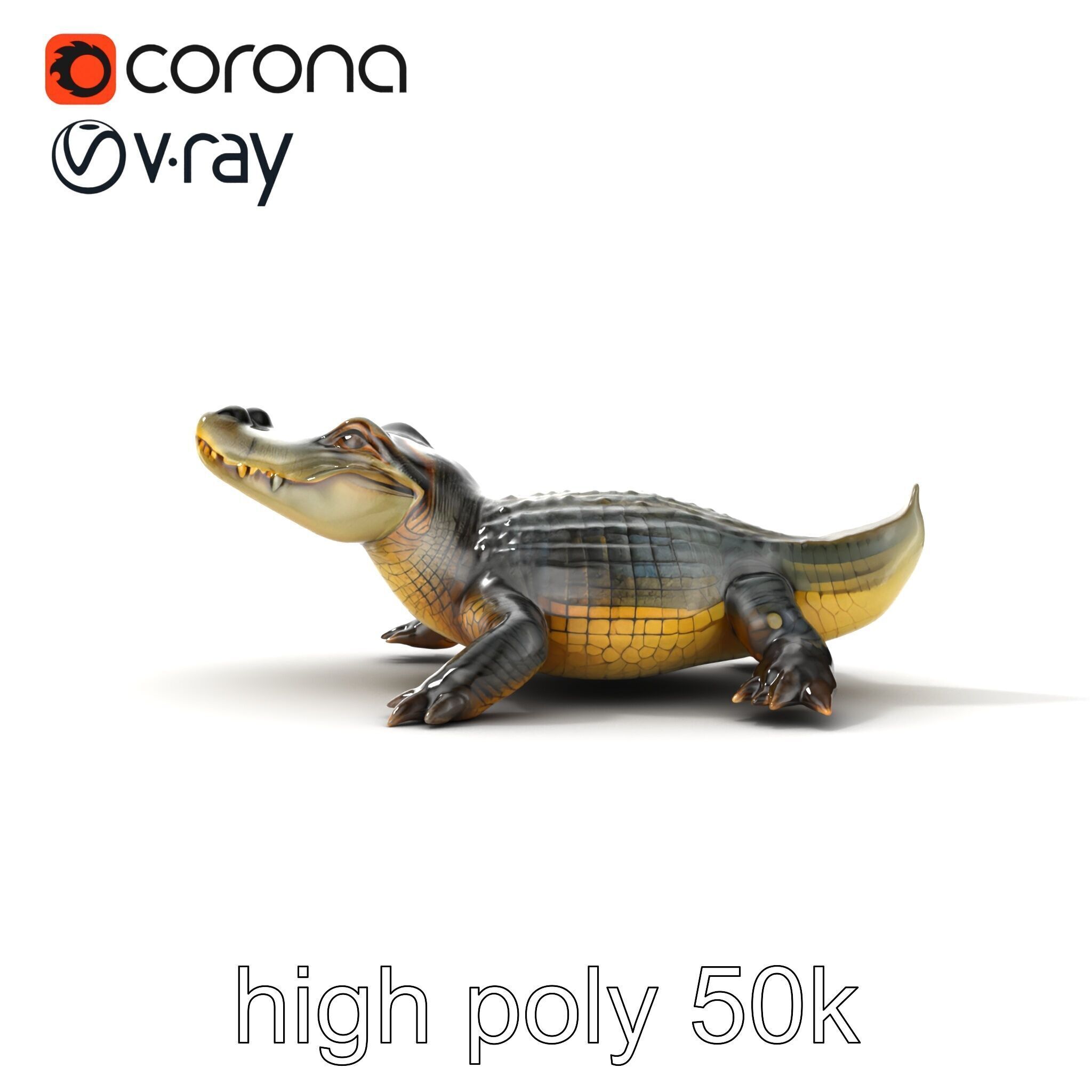 Crocodile Detailed Dewy Scales Model Pack Low-poly 3D model_30