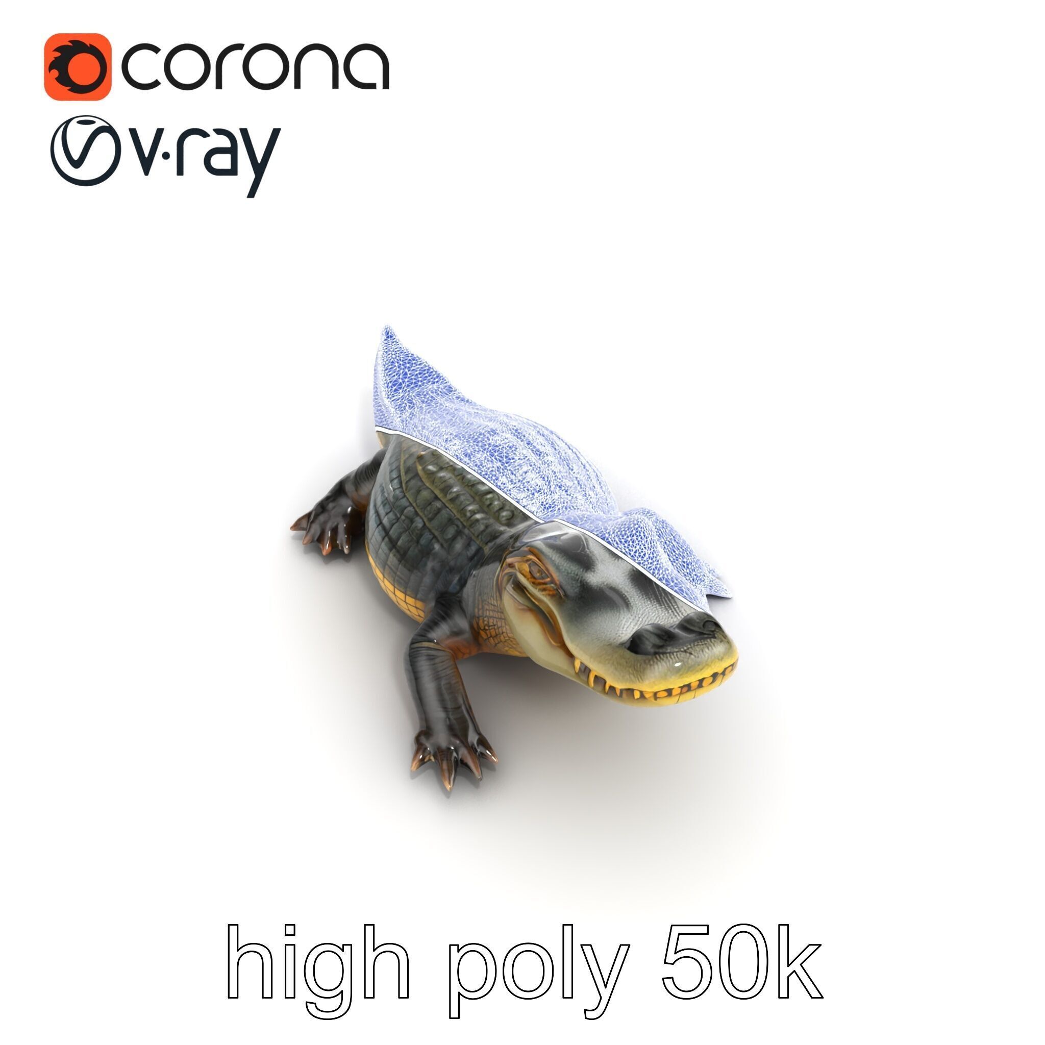 Crocodile Detailed Dewy Scales Model Pack Low-poly 3D model_28