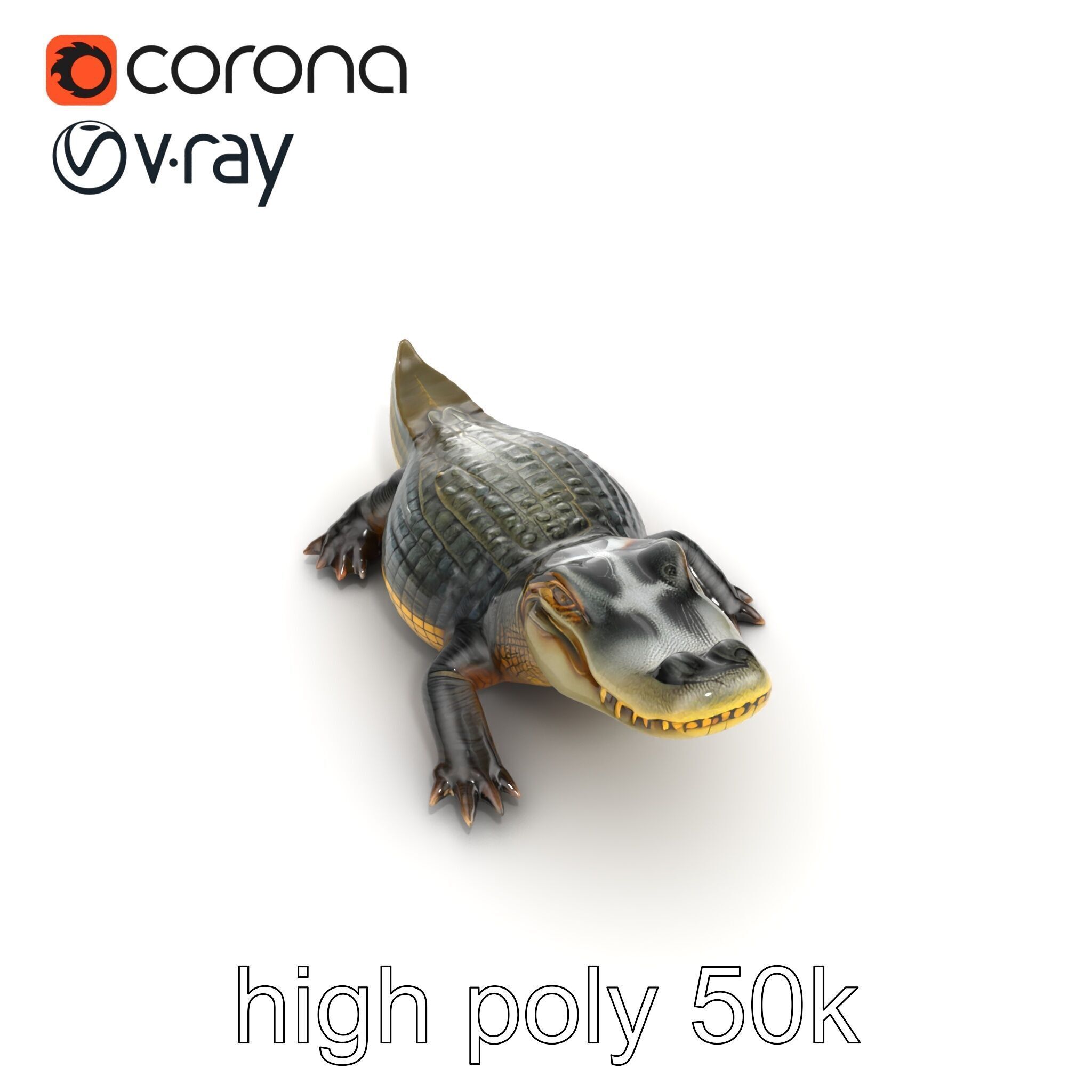 Crocodile Detailed Dewy Scales Model Pack Low-poly 3D model_14