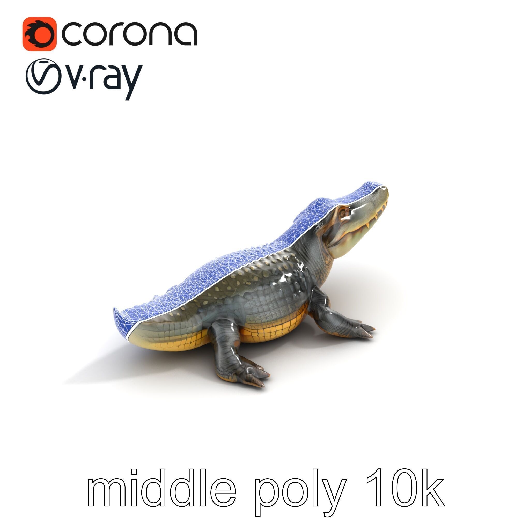 Crocodile Detailed Dewy Scales Model Pack Low-poly 3D model_18