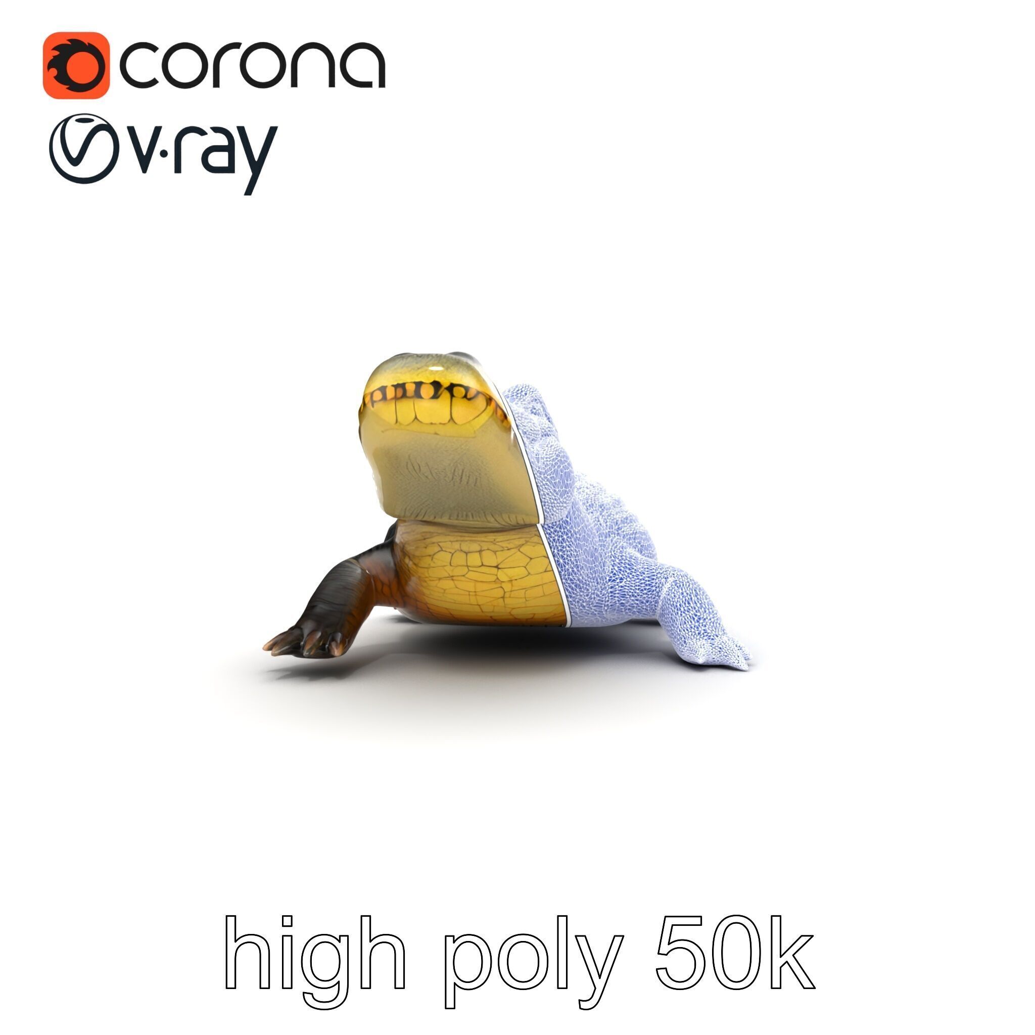 Crocodile Detailed Dewy Scales Model Pack Low-poly 3D model_16