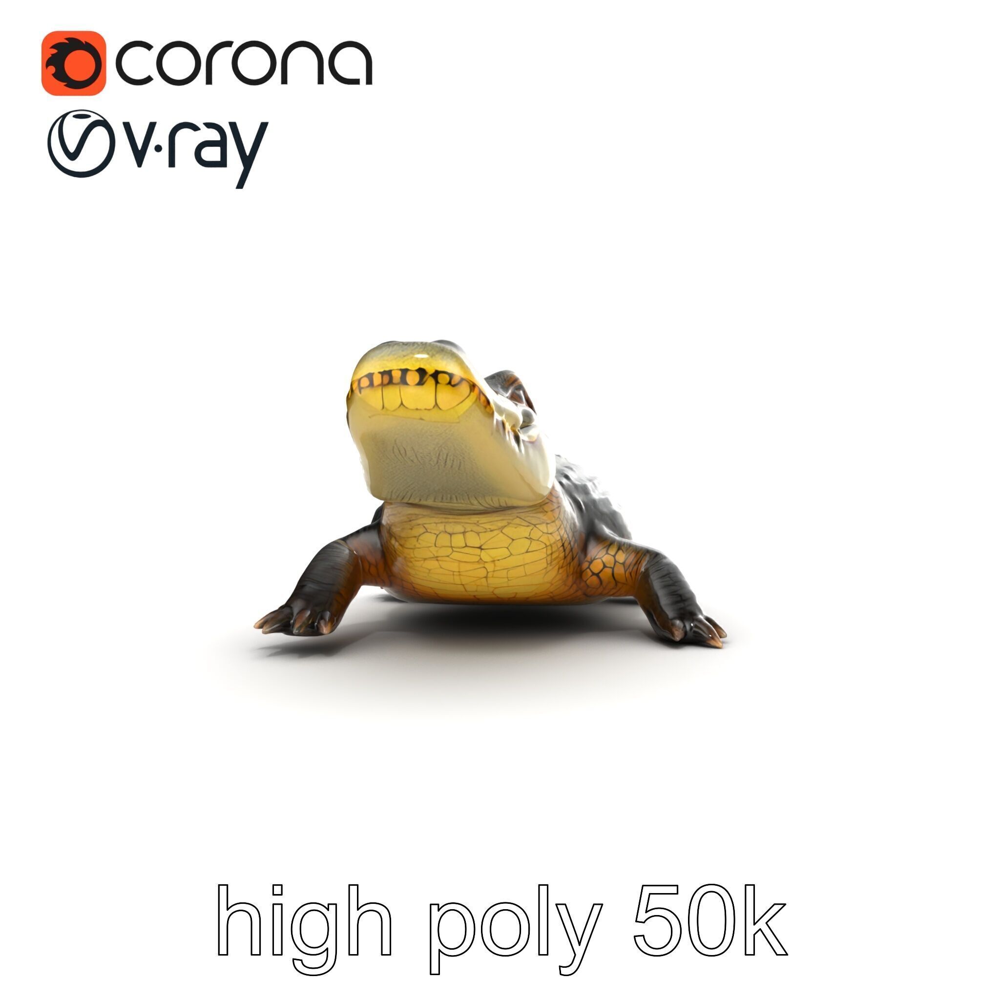 Crocodile Detailed Dewy Scales Model Pack Low-poly 3D model_22