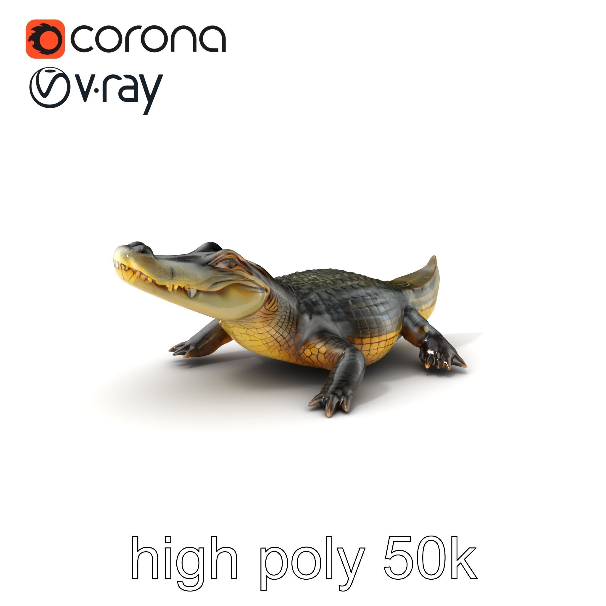 Crocodile Detailed Dewy Scales Model Pack Low-poly 3D model_2