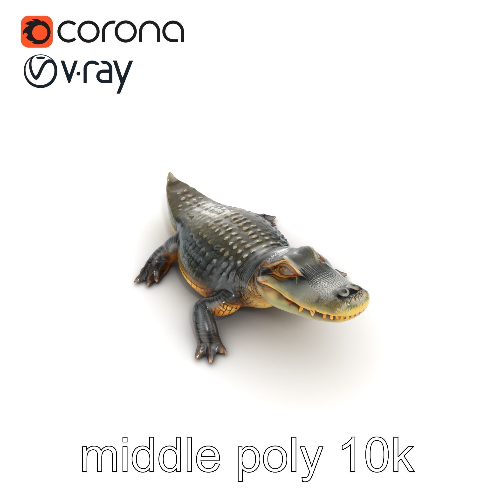 Crocodile Detailed Dewy Scales Model Pack Low-poly 3D model_21