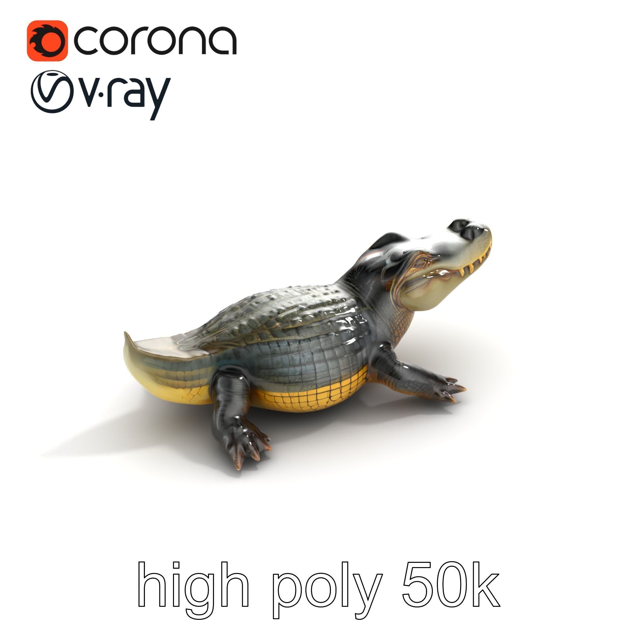 Crocodile Detailed Dewy Scales Model Pack Low-poly 3D model_26