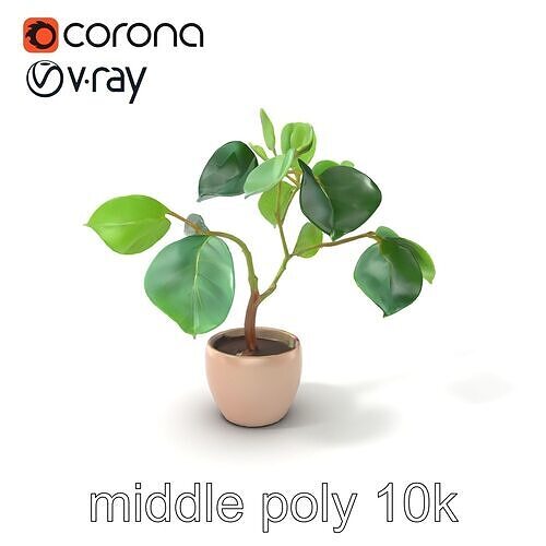 Ficus Lyrata Ornamental Plant model pack Low-poly 3D model