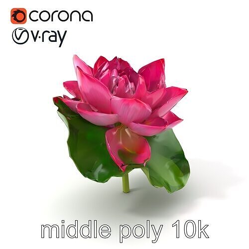 Lotus Flower Pink Petals Nature model pack Low-poly 3D model
