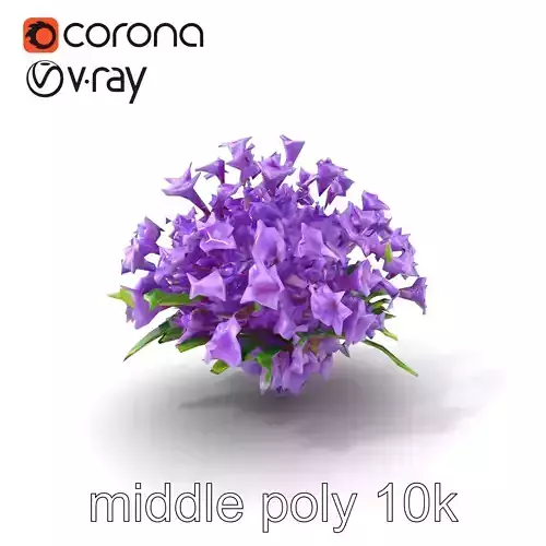 Lavender Water Hyacinth Bloom model pack