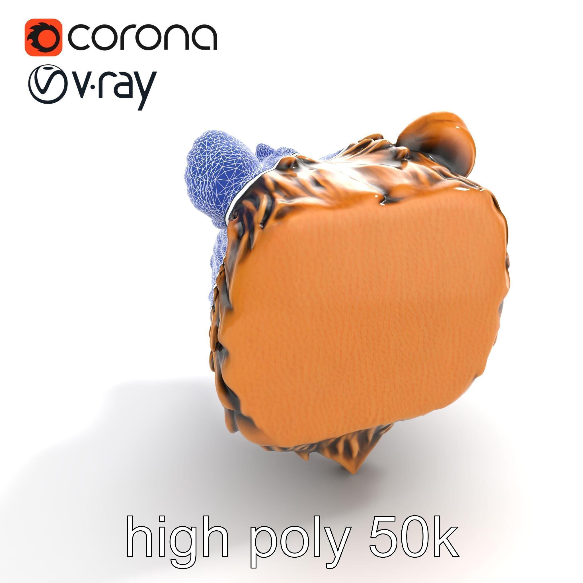 Enigmatic Bear Head Door Knocker Bronze model pack Low-poly 3D model_12