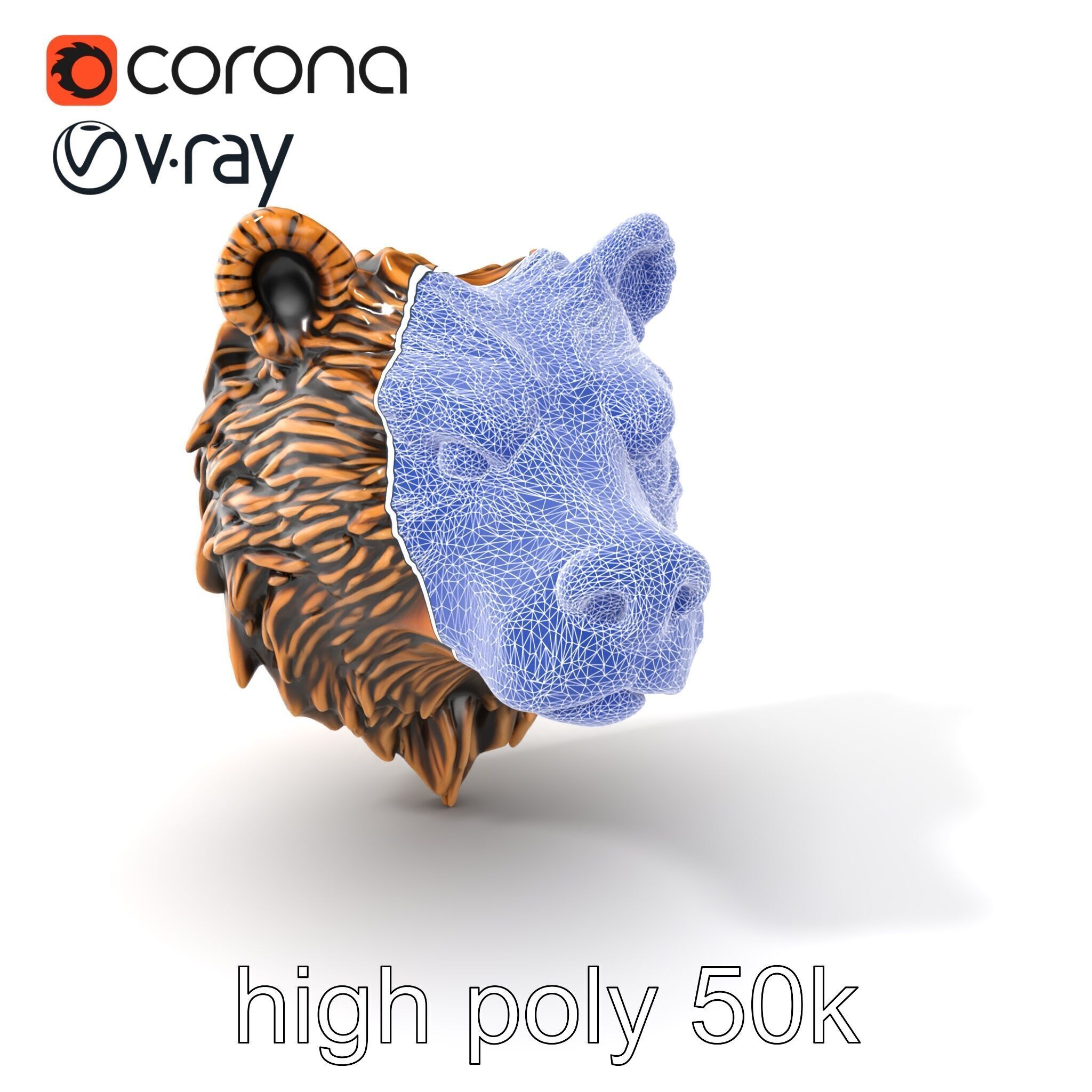 Enigmatic Bear Head Door Knocker Bronze model pack Low-poly 3D model_10