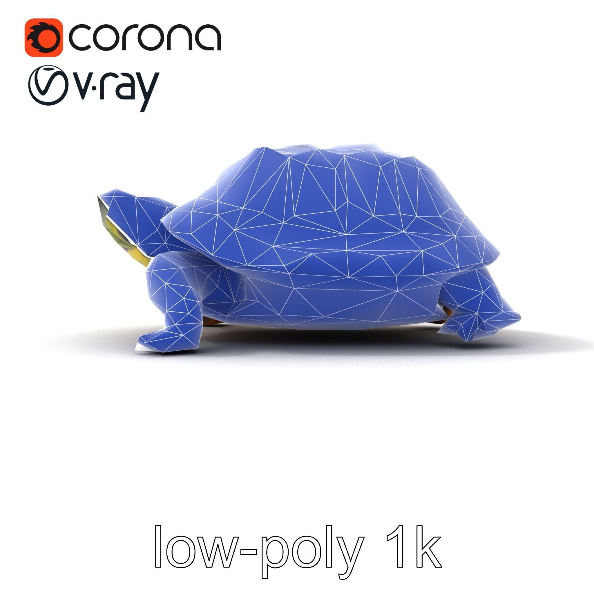 YellowMargined Box Turtle Realistic Detail Model Pack Low-poly 3D model_15