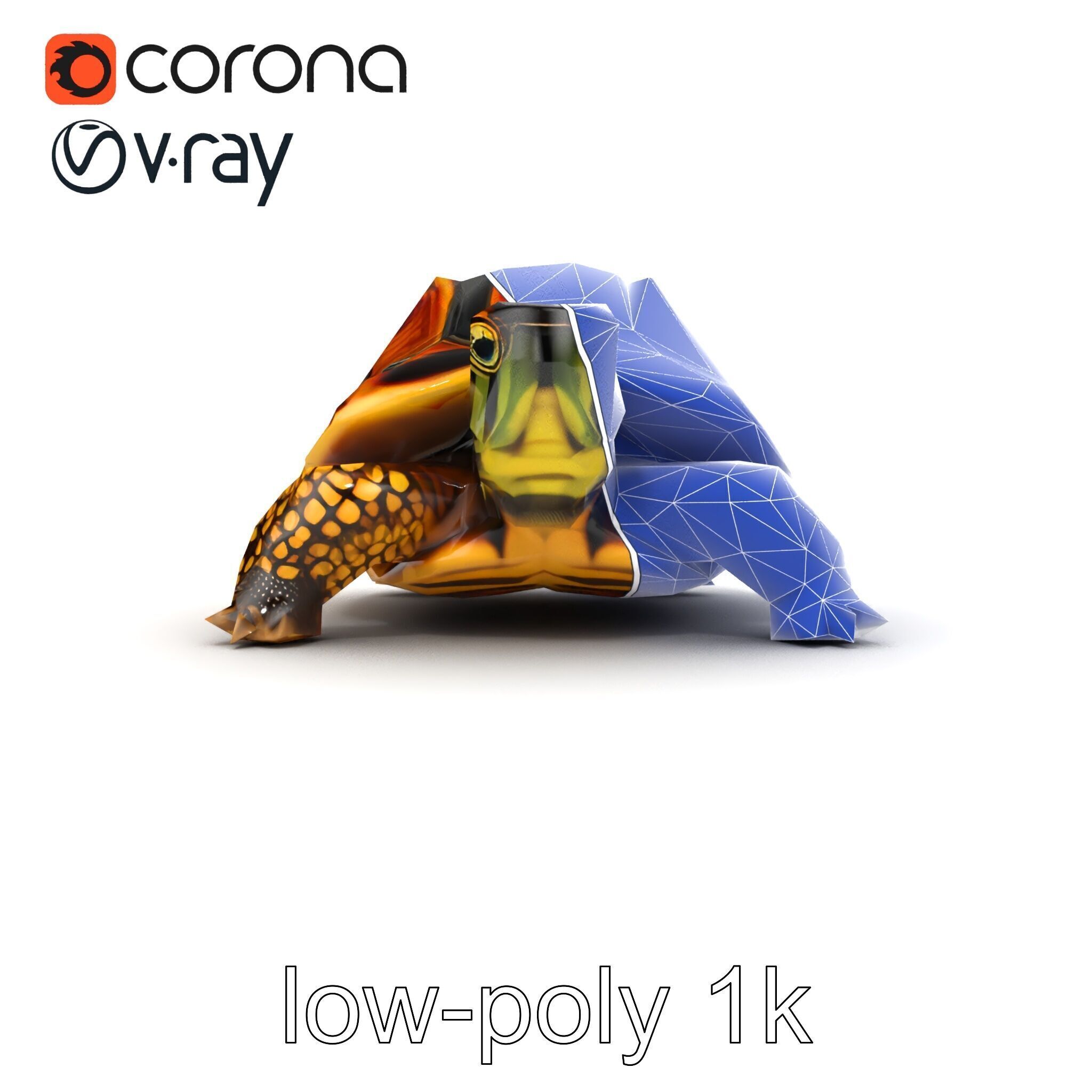 YellowMargined Box Turtle Realistic Detail Model Pack Low-poly 3D model_29
