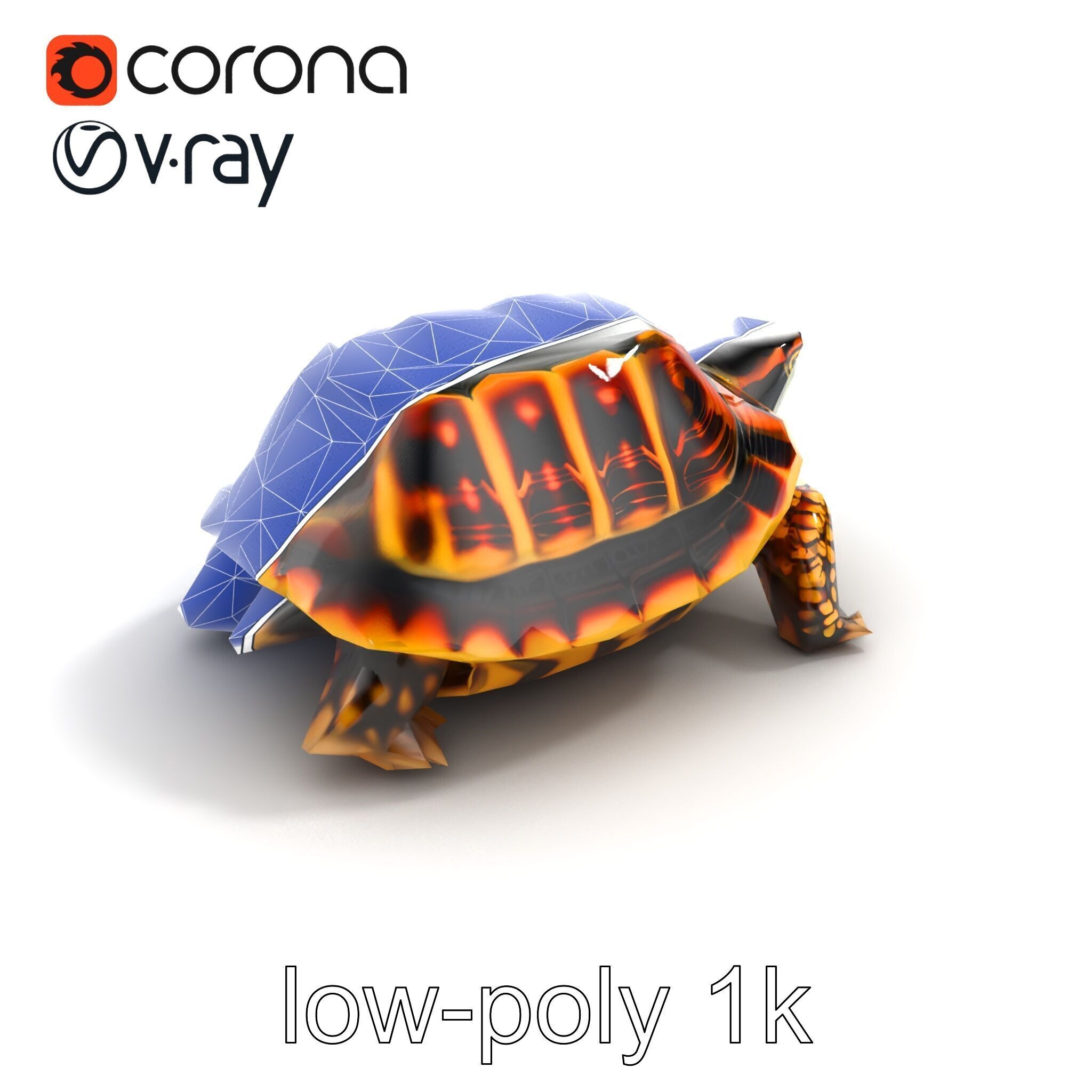 YellowMargined Box Turtle Realistic Detail Model Pack Low-poly 3D model_22