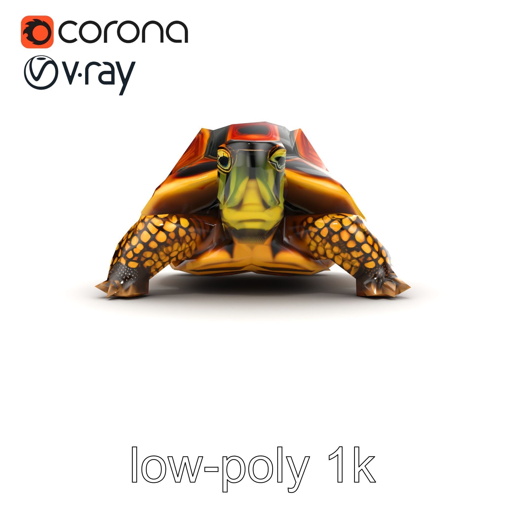 YellowMargined Box Turtle Realistic Detail Model Pack Low-poly 3D model_30