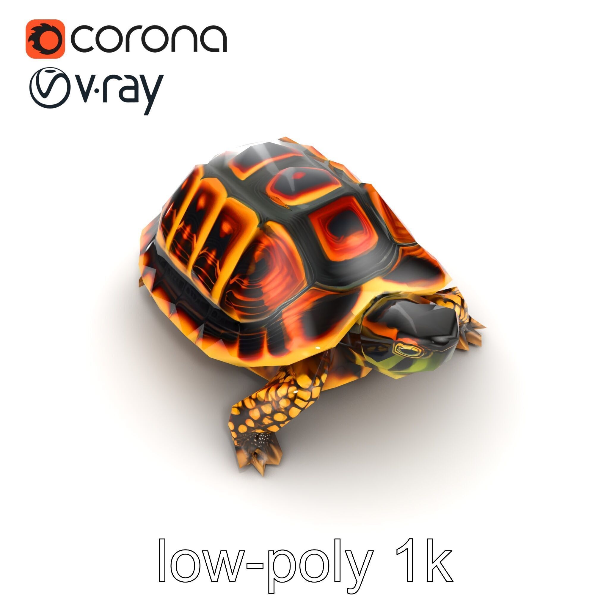 YellowMargined Box Turtle Realistic Detail Model Pack Low-poly 3D model_25