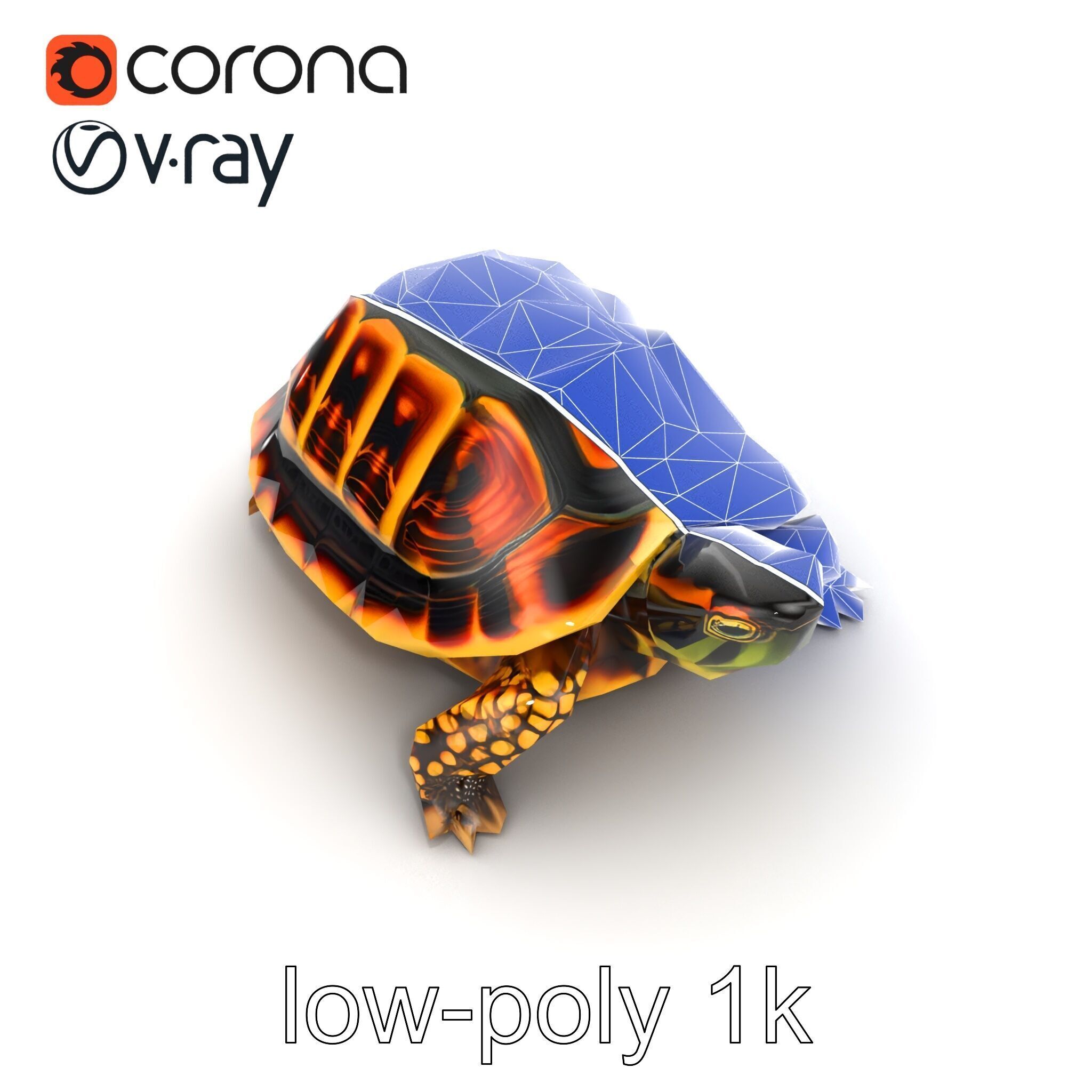 YellowMargined Box Turtle Realistic Detail Model Pack Low-poly 3D model_24