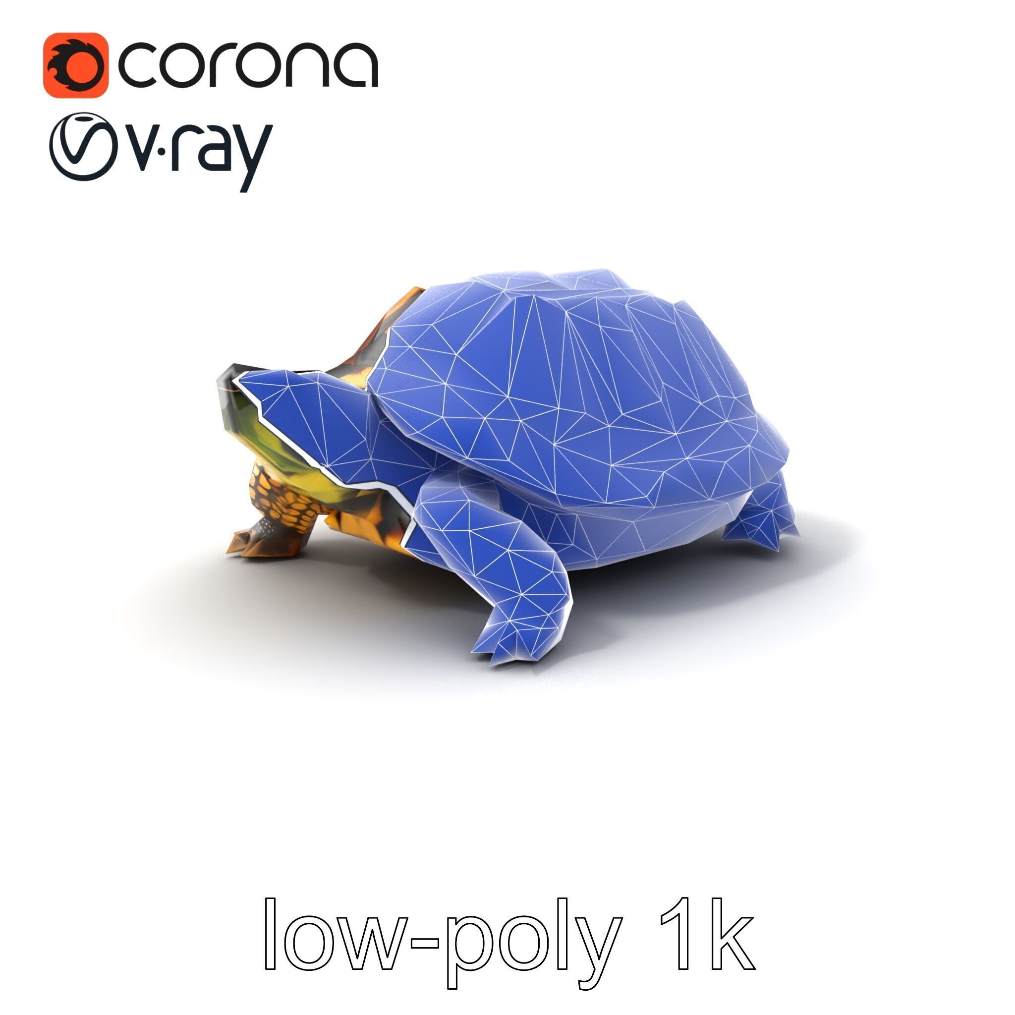 YellowMargined Box Turtle Realistic Detail Model Pack Low-poly 3D model_7